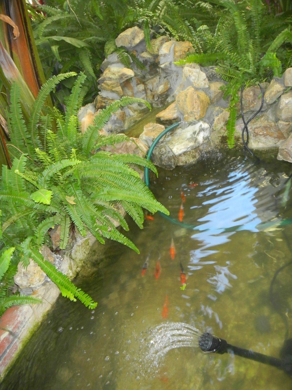 Beckett FR500 500 GPH 38.4 Watt Submersible Water Garden Pond Pump Set - Customer Photo 2