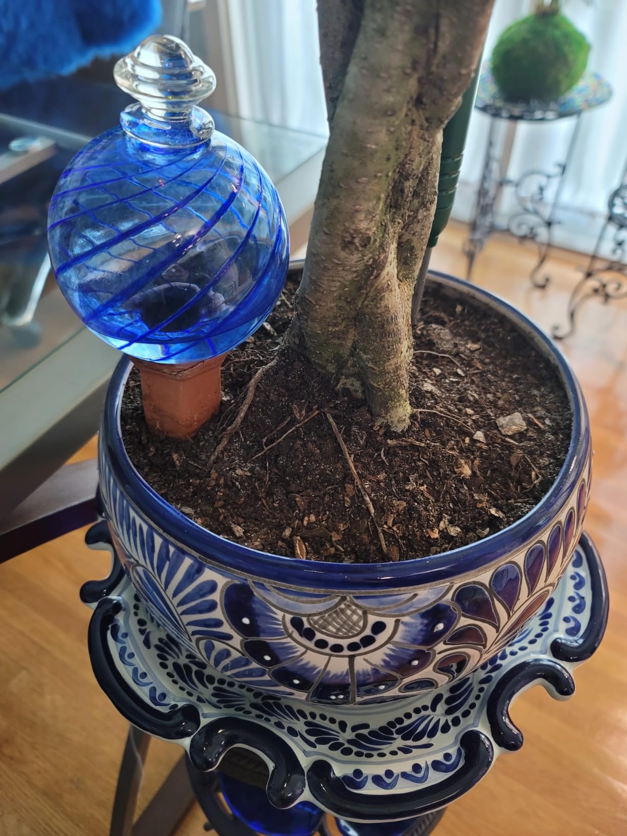 Plant Nanny 12oz Green Spiral Fluted Watering Globe & Stake Set - Customer Photo 2