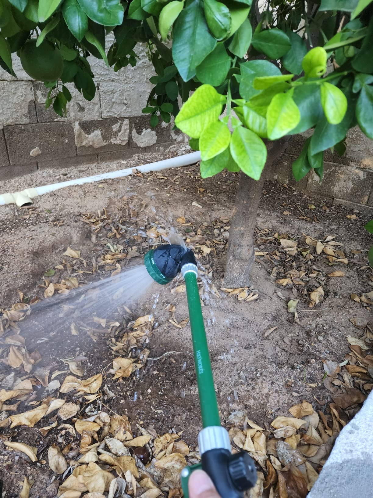 H2O WORKS Heavy Duty 21 Inch Watering Wand with Pivoting Head, Adjustable Water Sprayer Wand with Ergonomic Handle, Spray 6 Watering Patterns, Perfect for Watering Hanging Plants - Customer Photo 3