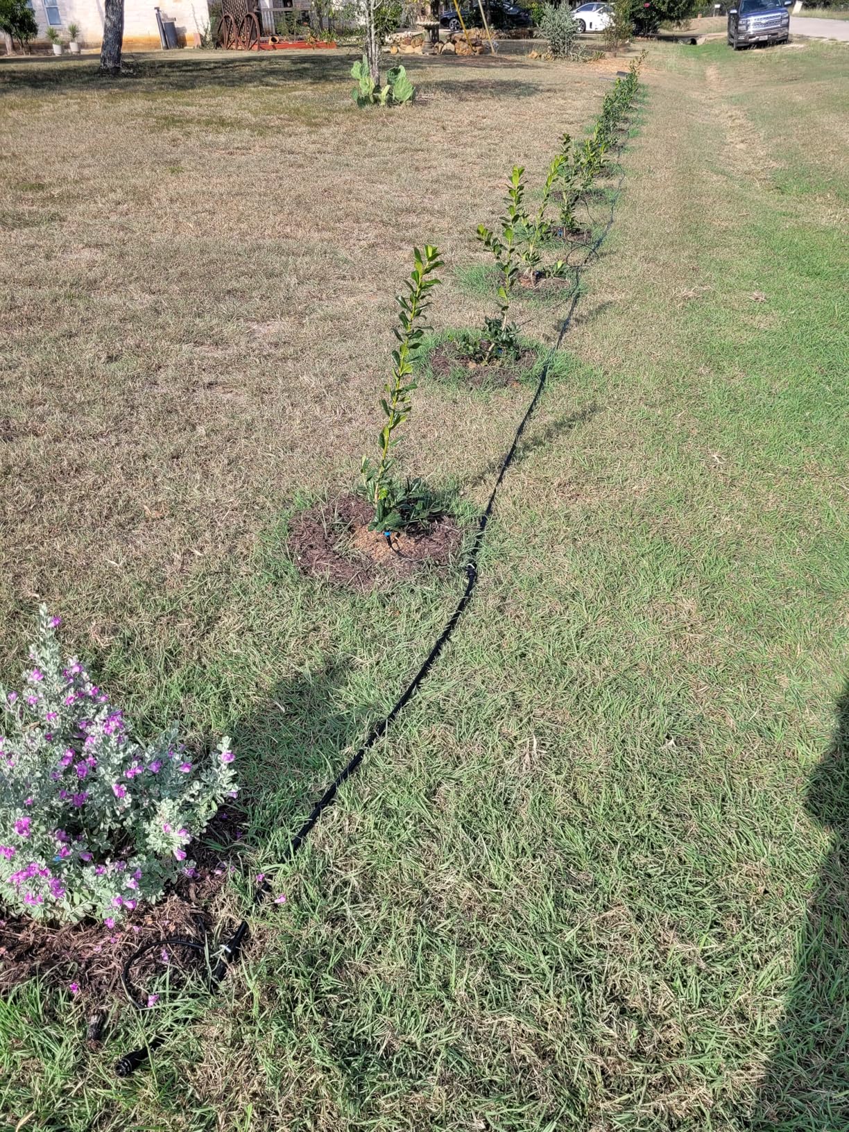 MIXC Greenhouse Micro Drip Irrigation Kit Automatic Irrigation System Patio Misting Plant Watering System with 1/4 inch 1/2 inch Irrigation Tubing Hose Adjustable Nozzle Emitters Barbed Fittings - Customer Photo 1