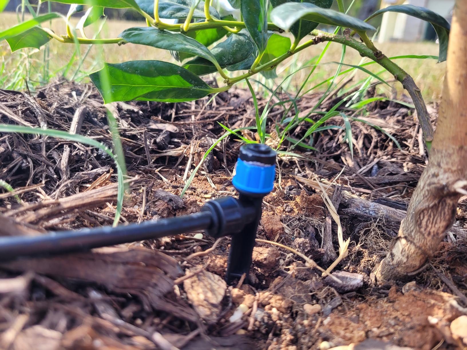 MIXC Greenhouse Micro Drip Irrigation Kit Automatic Irrigation System Patio Misting Plant Watering System with 1/4 inch 1/2 inch Irrigation Tubing Hose Adjustable Nozzle Emitters Barbed Fittings - Customer Photo 2