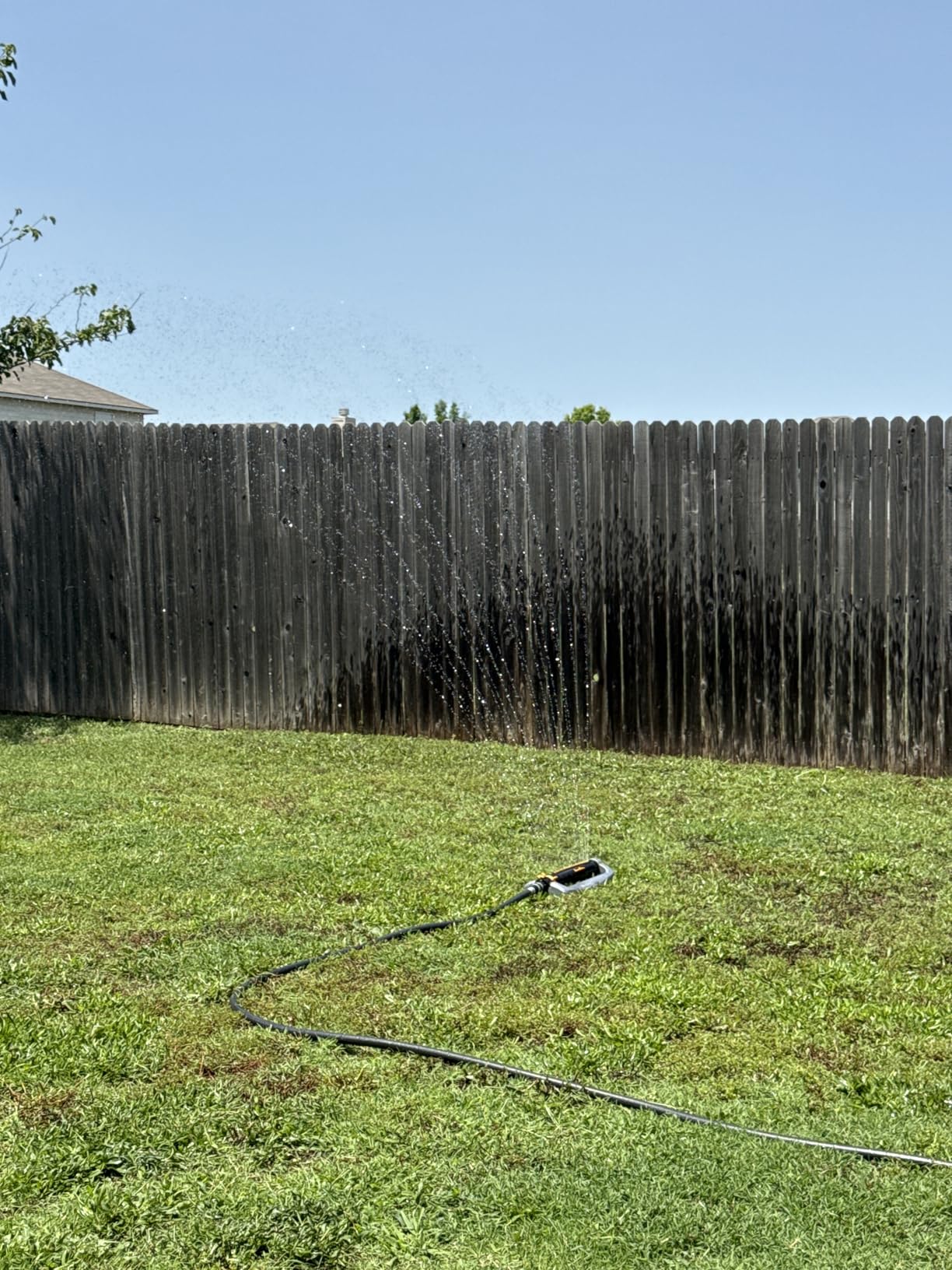 Melnor 65167AMZ XT Turbo Oscillating Sprinkler With Wide Stream Customer Review Melnor 65167AMZ XT Turbo Oscillating Sprinkler With Wide Stream - Customer Photo 2