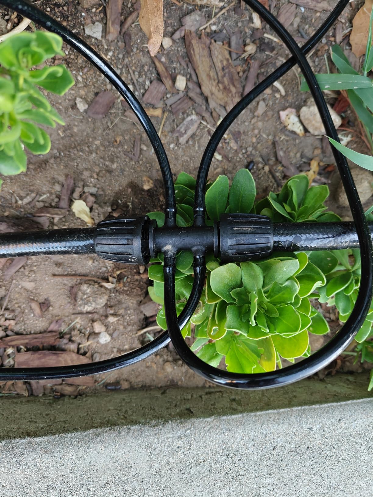 Maotong 240FT Drip Irrigation System Kit, Automatic Garden Watering Misting System for Greenhouse, Yard, Lawn, Plant with 1/2 inch Hose 1/4 inch Distribution Tubing and Accessories - Customer Photo 1