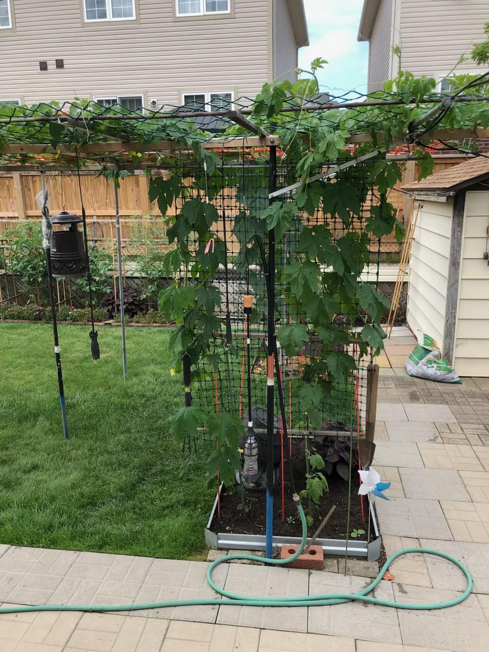 Bonviee Drip Irrigation System, 230FT Garden Watering System with Quick-to-Connect Fittings, Adjustable Drip Emitters, 1/4â & 5/16â Tubing, Drip Irrigation Kit for Raised Garden Beds, Greenhouse, Lawn - Customer Photo 1