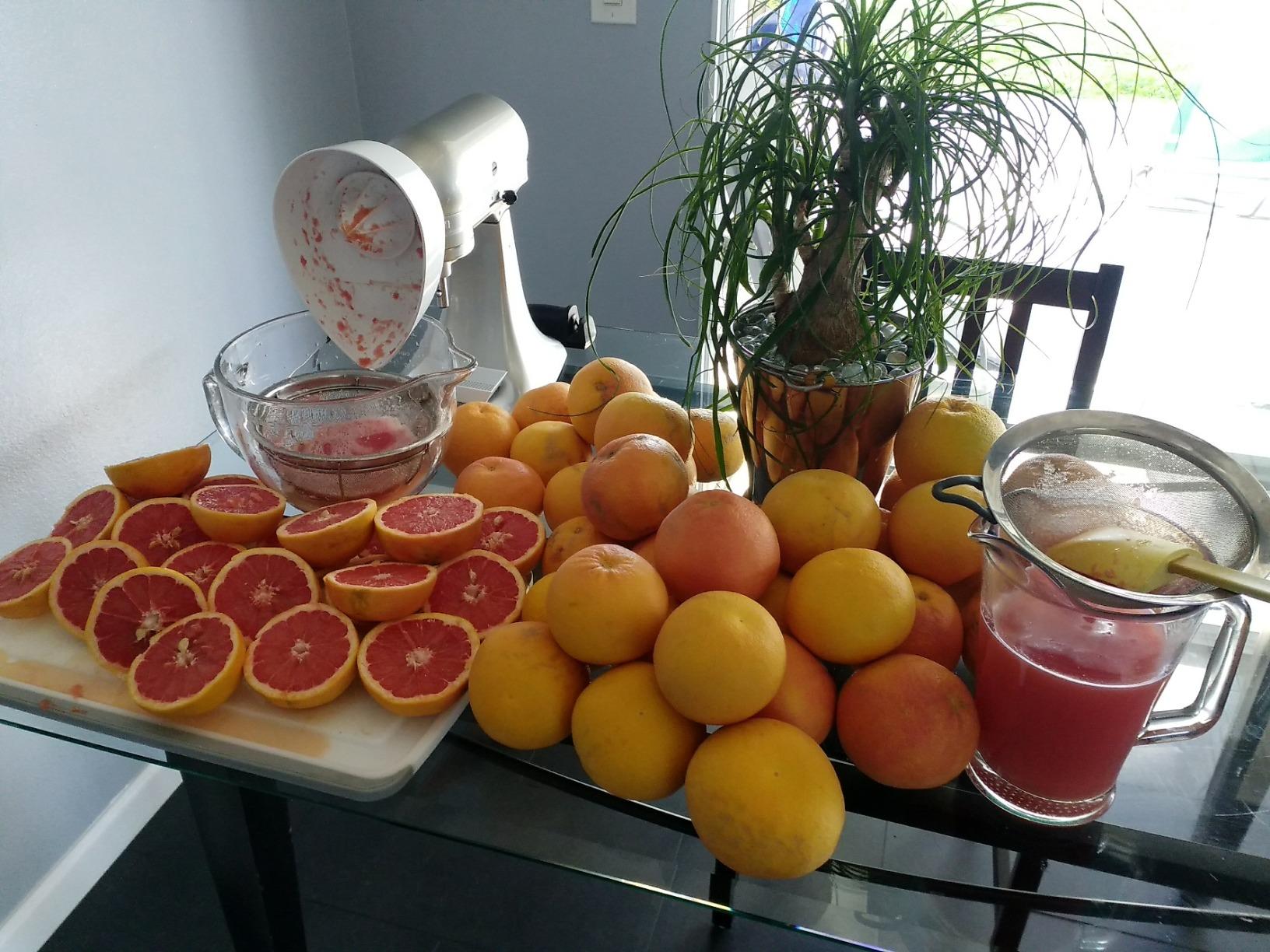 KitchenAid White Citrus Juicer Attachment for KitchenAid Stand Mixers, JE - Customer Photo 1