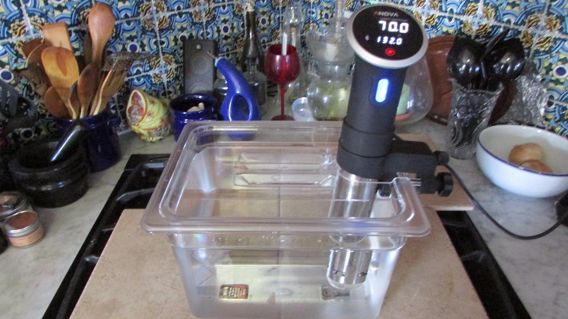 LIPAVI Sous Vide Container Model C20 6.5 Gallon (26 qt) 21 x 12.8 Inch, 8 Inch deep, Clear, Heat-Resistant Polycarbonate Tub - (NOT INCLUDED Matching rack and lids for Joule, Anova ++ sold separately) - Customer Photo 1