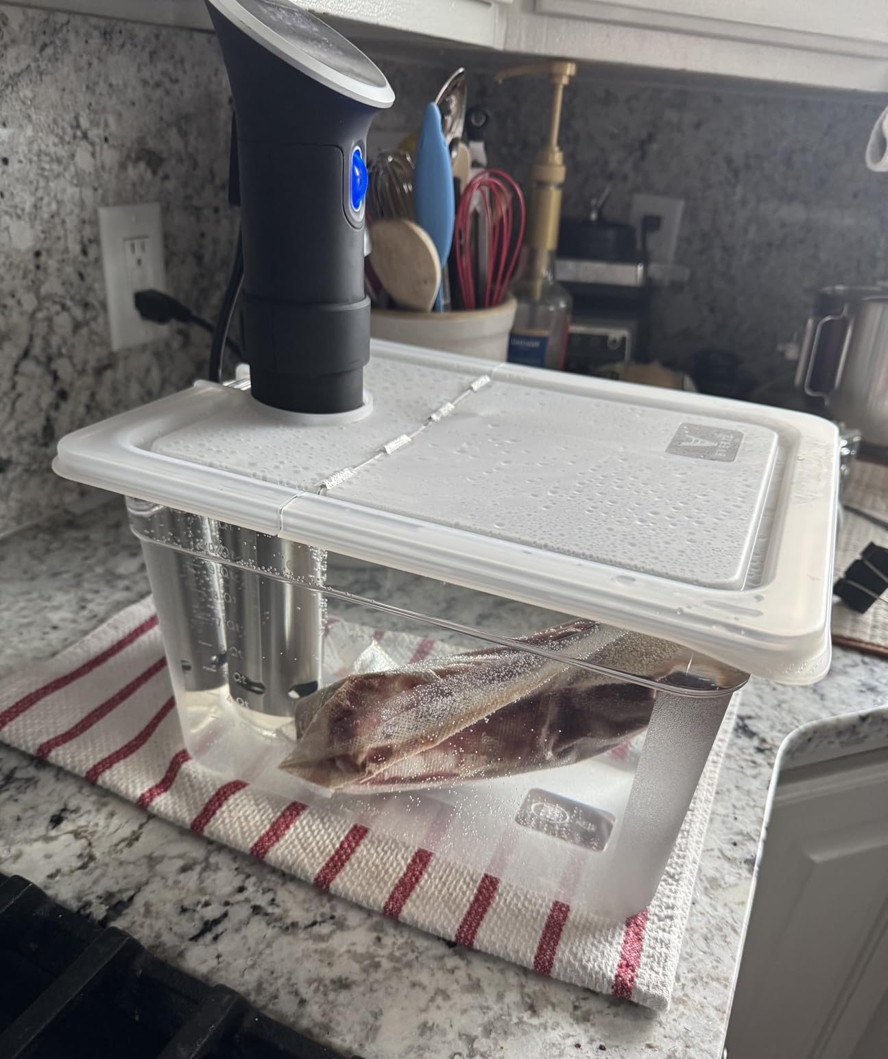 EVERIE Sous Vide Container 12 Quart EVC-12 with Collapsible Hinged Lid Compatible with Anova Nano or AN500-US00 or Anova Pro 3.0 or Anova Mini, Also Fits Instant Pot - Customer Photo 1