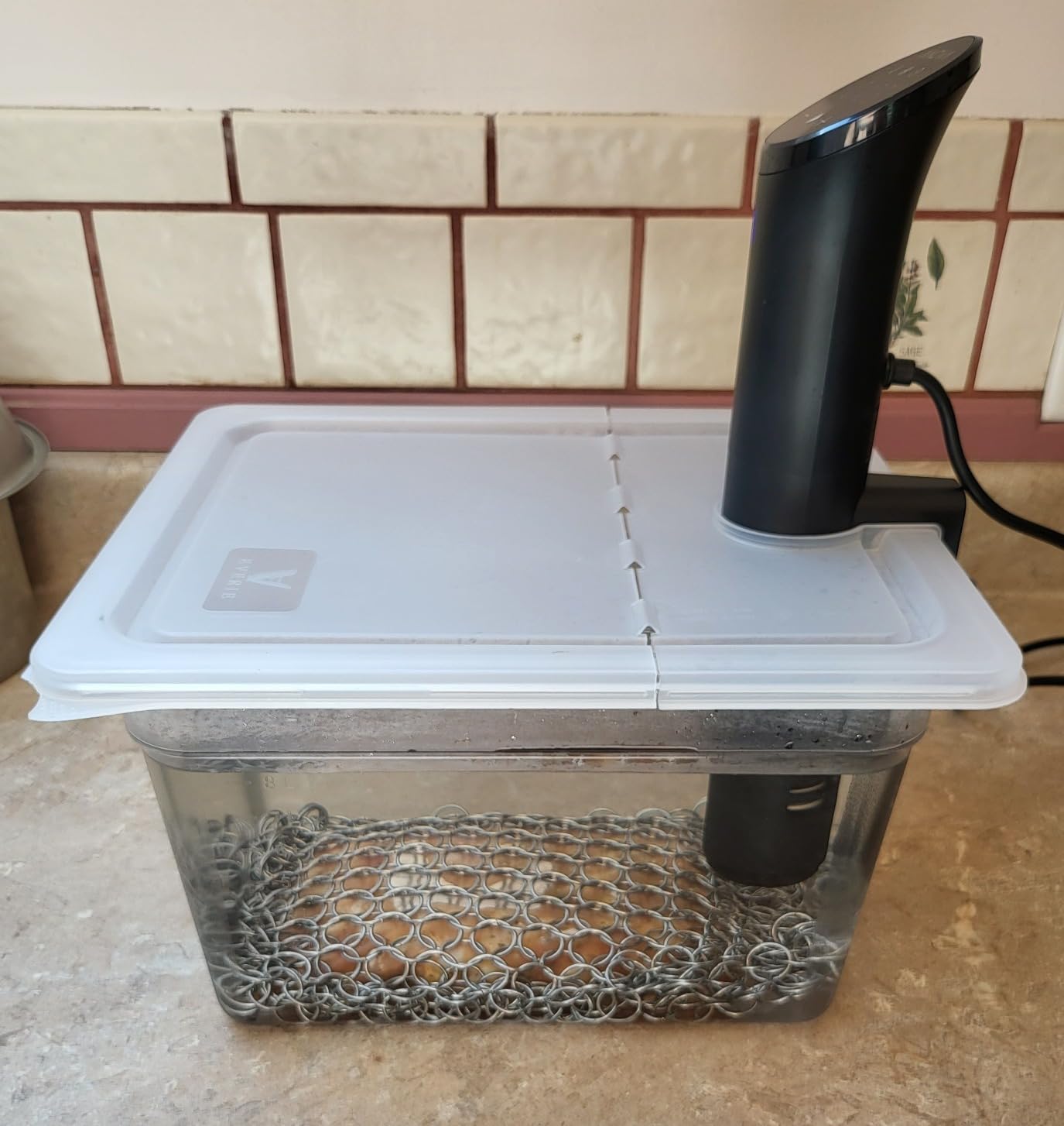 EVERIE Sous Vide Container 12 Quart EVC-12 with Collapsible Hinged Lid Compatible with Anova Nano or AN500-US00 or Anova Pro 3.0 or Anova Mini, Also Fits Instant Pot - Customer Photo 4