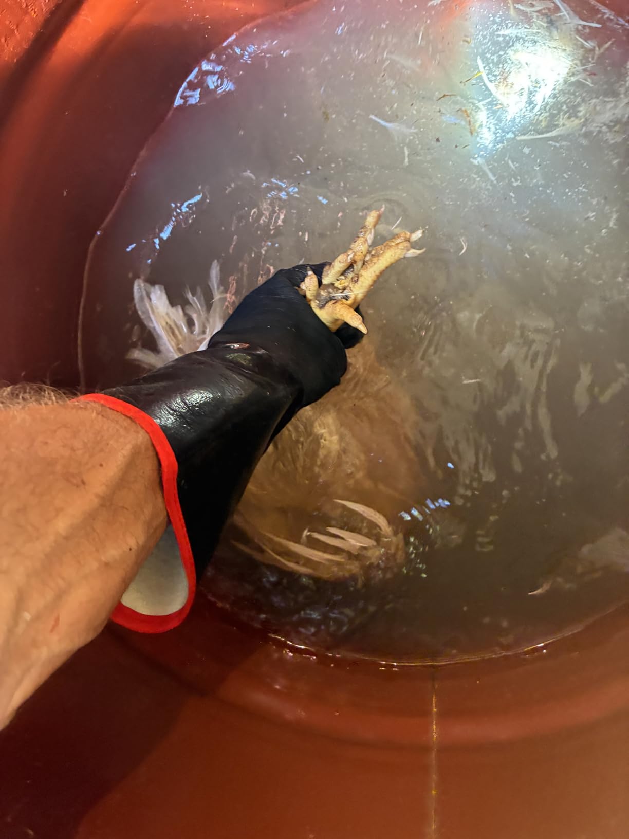 932°F Extreme Heat Resistant Gloves for Grill BBQ, Aillary Waterproof Long Sleeve Pit Grill Gloves for Fryer, Baking, Oven, Smoker, Fireproof, Oil Resistant Neoprene Coating (14-Inch) - Customer Photo 1