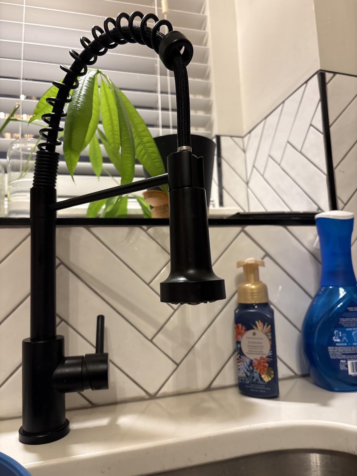 FORIOUS Black Kitchen Faucet with Pull Down Sprayer, Stainless Steel Commercial Single Handle Classic Spring Pull Out Kitchen Sink Faucet for Pot Filler, Farmhouse Camper Bar Laundry Room - Customer Photo 4