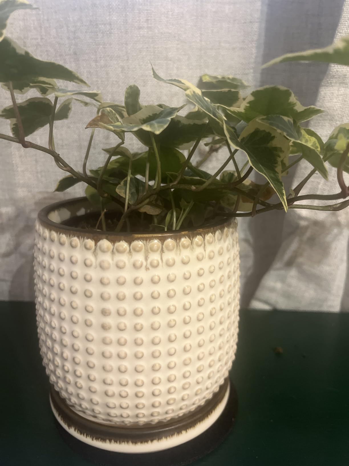D'vine Dev 4 Inch Terracotta Beaded Planter Pot - Flower Pot with Drainage Holes and Saucers for Indoor Succulent Plants or Flowers,Terracotta, 27-C-Z-7 Customer Review D'vine Dev 4 Inch Terracotta Beaded Planter Pot - Flower Pot with Drainage Holes and Saucers for Indoor Succulent Plants or Flowers,Terracotta, 27-C-Z-7 - Customer Photo 1