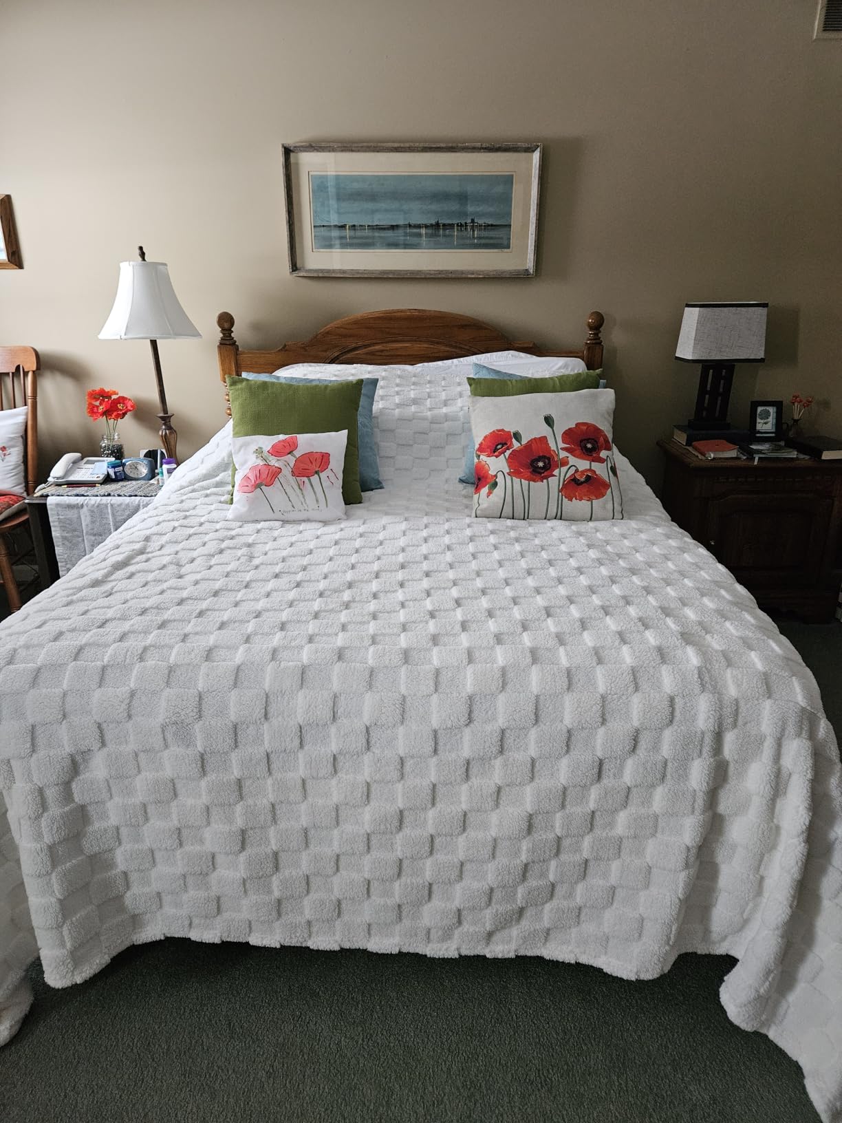 Bedsure GentleSoft Sage Green Throw Blanket for Couch - Checkered Fleece Blankets Gifts for Women Men Girls, Cute Soft Cozy Throw for Bedroom Home Decor Gifts, 50x60 Inches Customer Review Bedsure GentleSoft Sage Green Throw Blanket for Couch - Checkered Fleece Blankets Gifts for Women Men Girls, Cute Soft Cozy Throw for Bedroom Home Decor Gifts, 50x60 Inches - Customer Photo 1