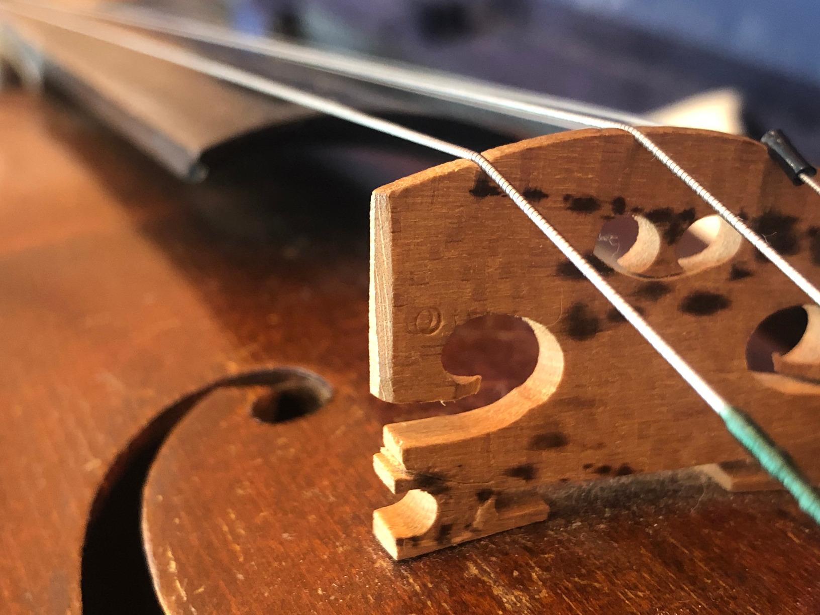 Barcus Berry 3100 Clamp-On Bridge Violin Piezo Pickup customer photo 3