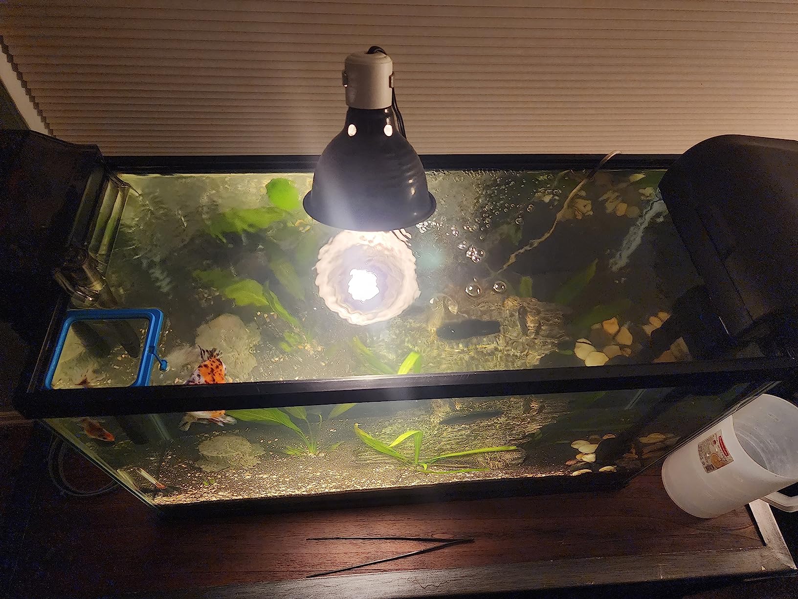 Fluval C4 Power Filter, Fish Tank Filter for Aquariums up to 70 Gal. customer photo 1