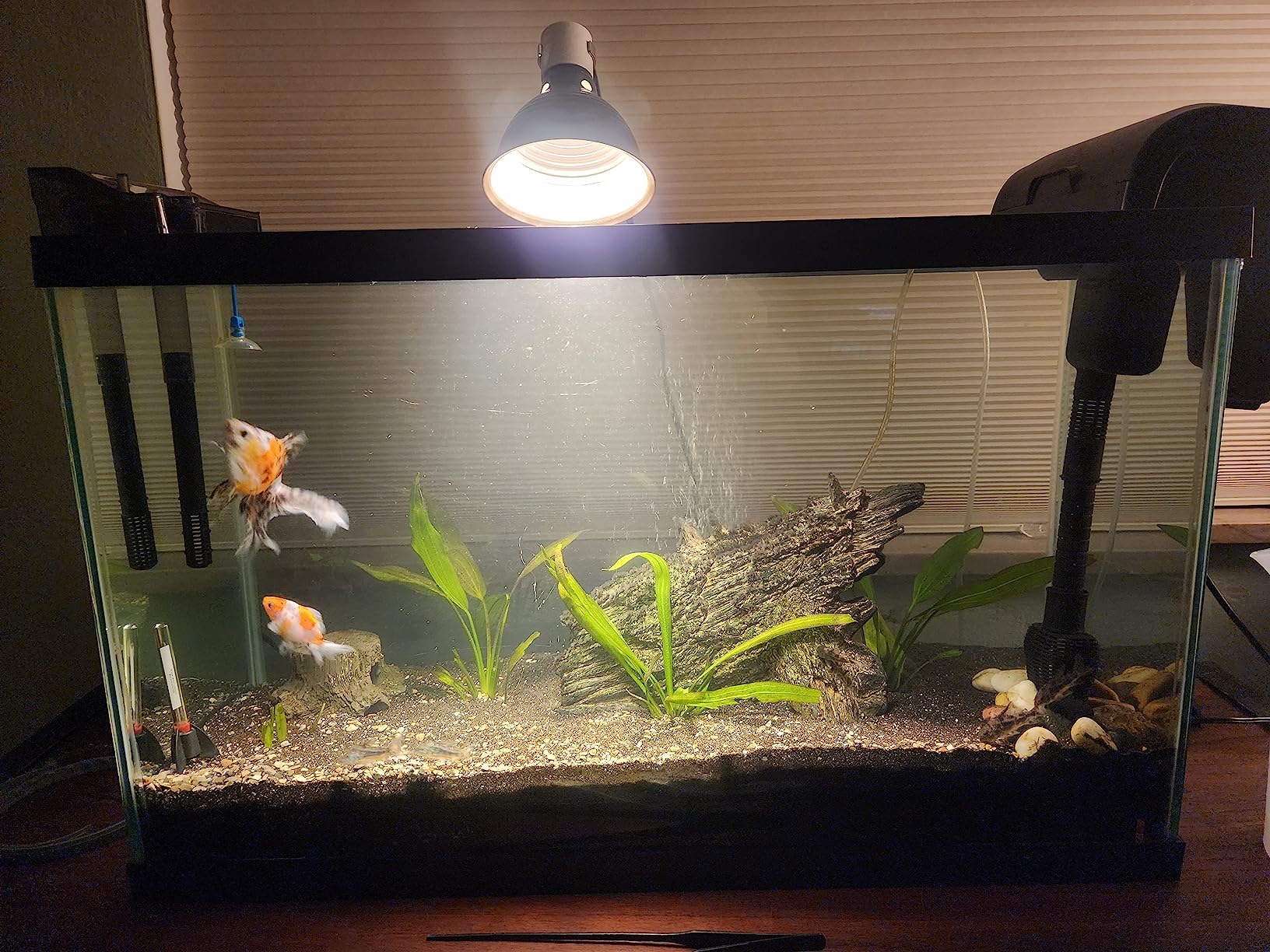 Fluval C4 Power Filter, Fish Tank Filter for Aquariums up to 70 Gal. customer photo 2