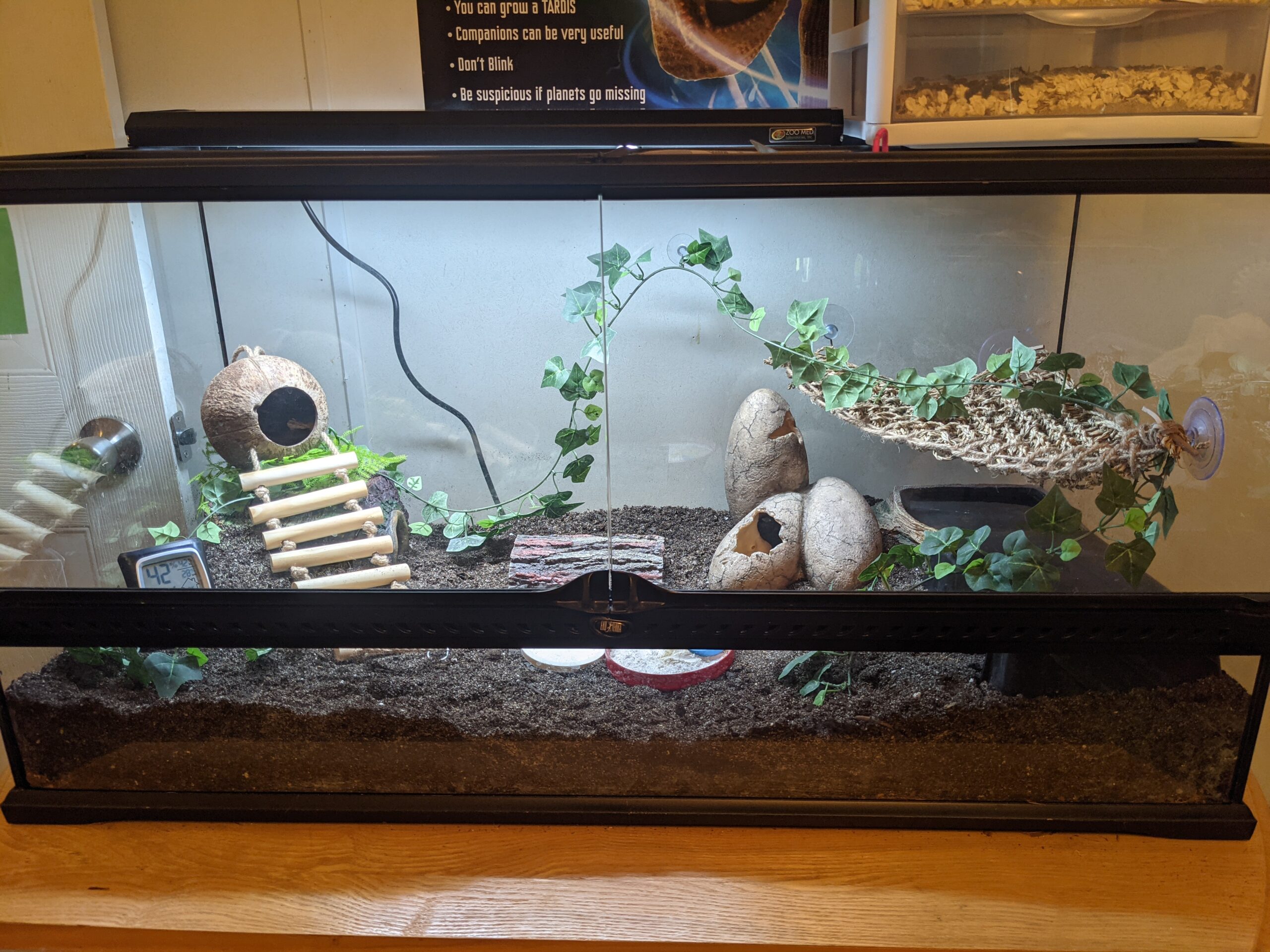 Reptisun T5 Ho Terrarium Hood 24 Inch customer photo 2