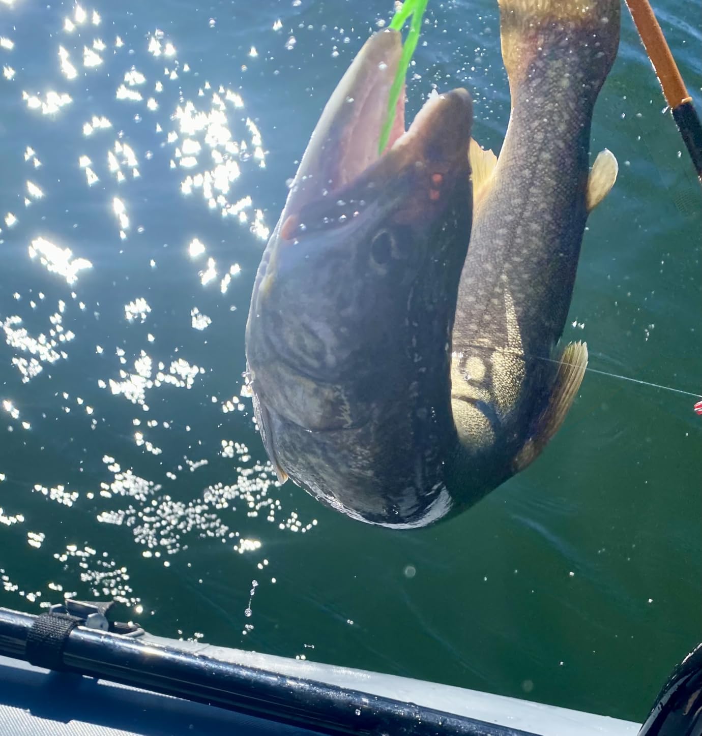 Reelsonar iBobber Bluetooth Fish Finder customer photo 2