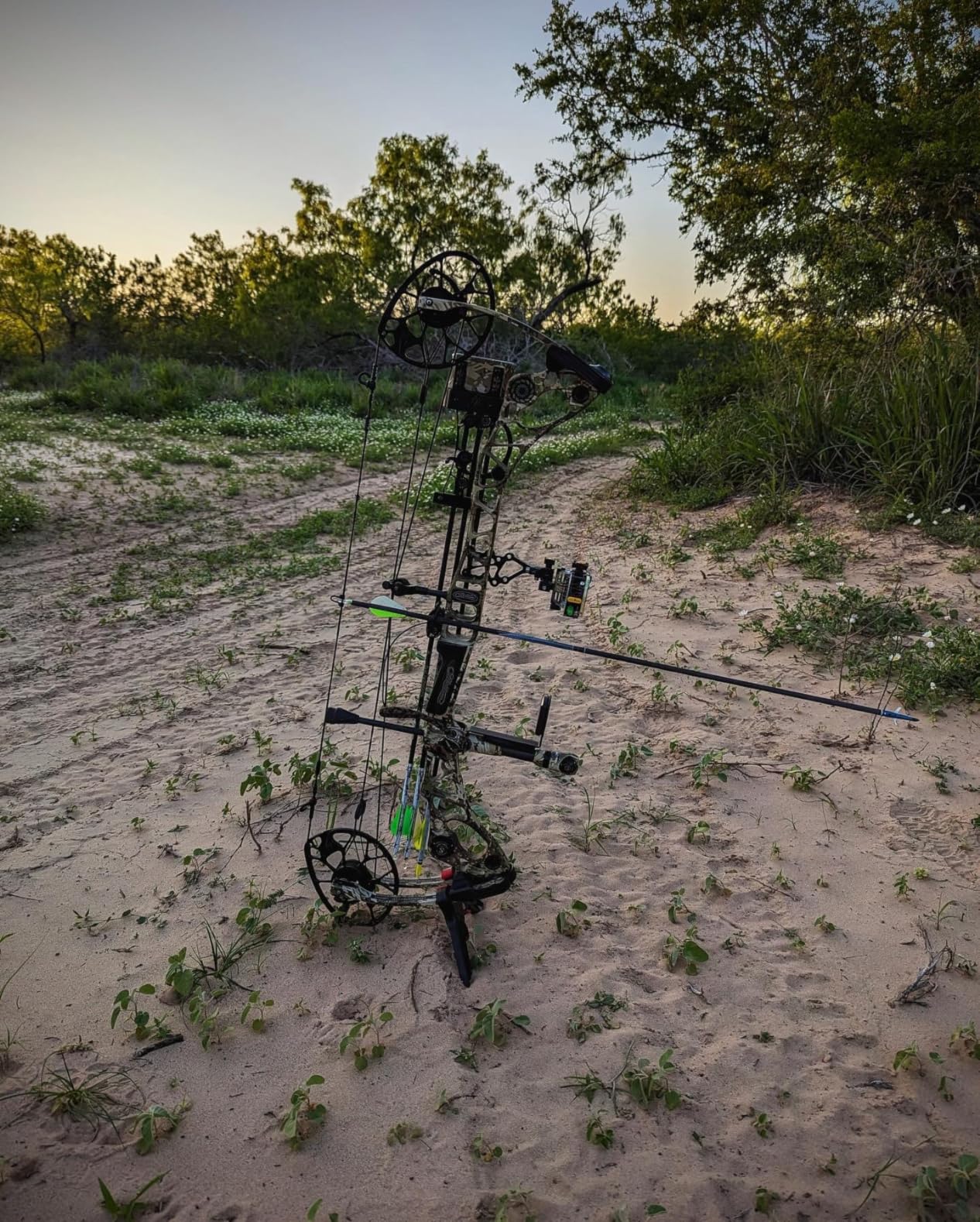 Trophy Ridge React Pro 5 Pin Bow Sight - Lighter, Stronger, More Reliable customer photo 2