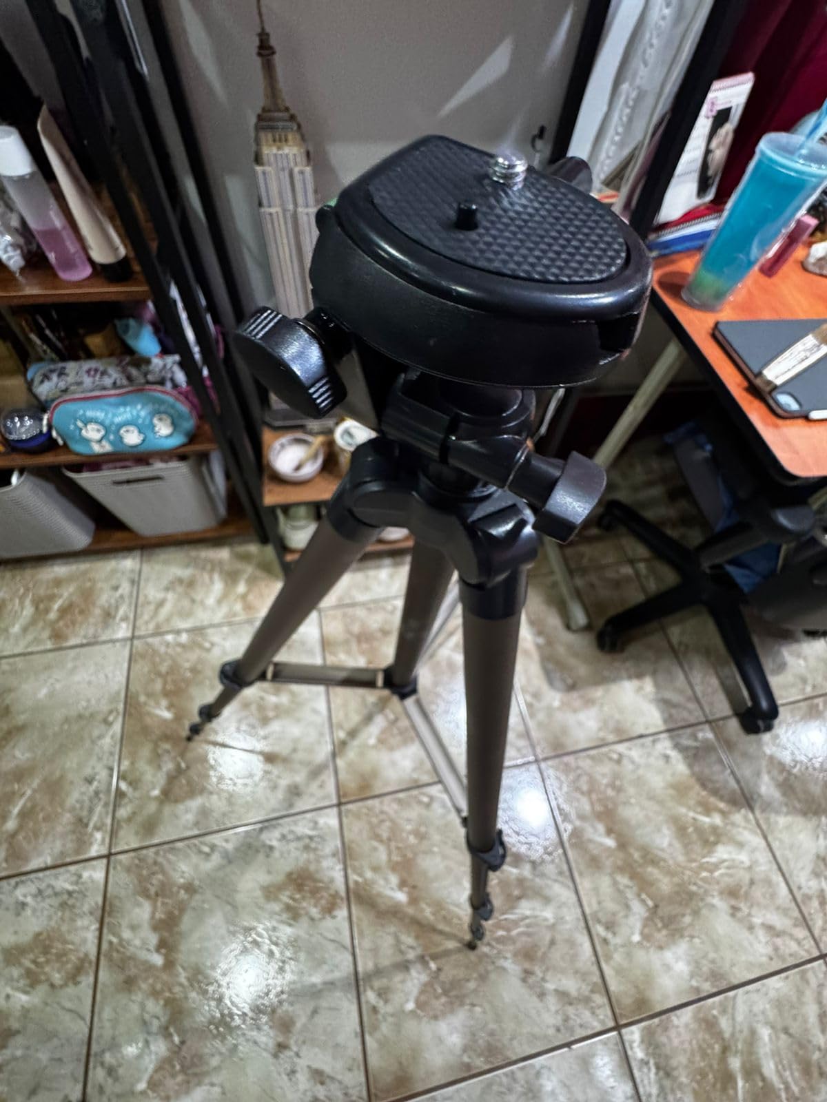 Amazon Basics 50-inch Lightweight Portable Camera Tripod Stand with Quick-Release Plate, Adjustable Height, Aluminum, for Travel Photography customer photo 2