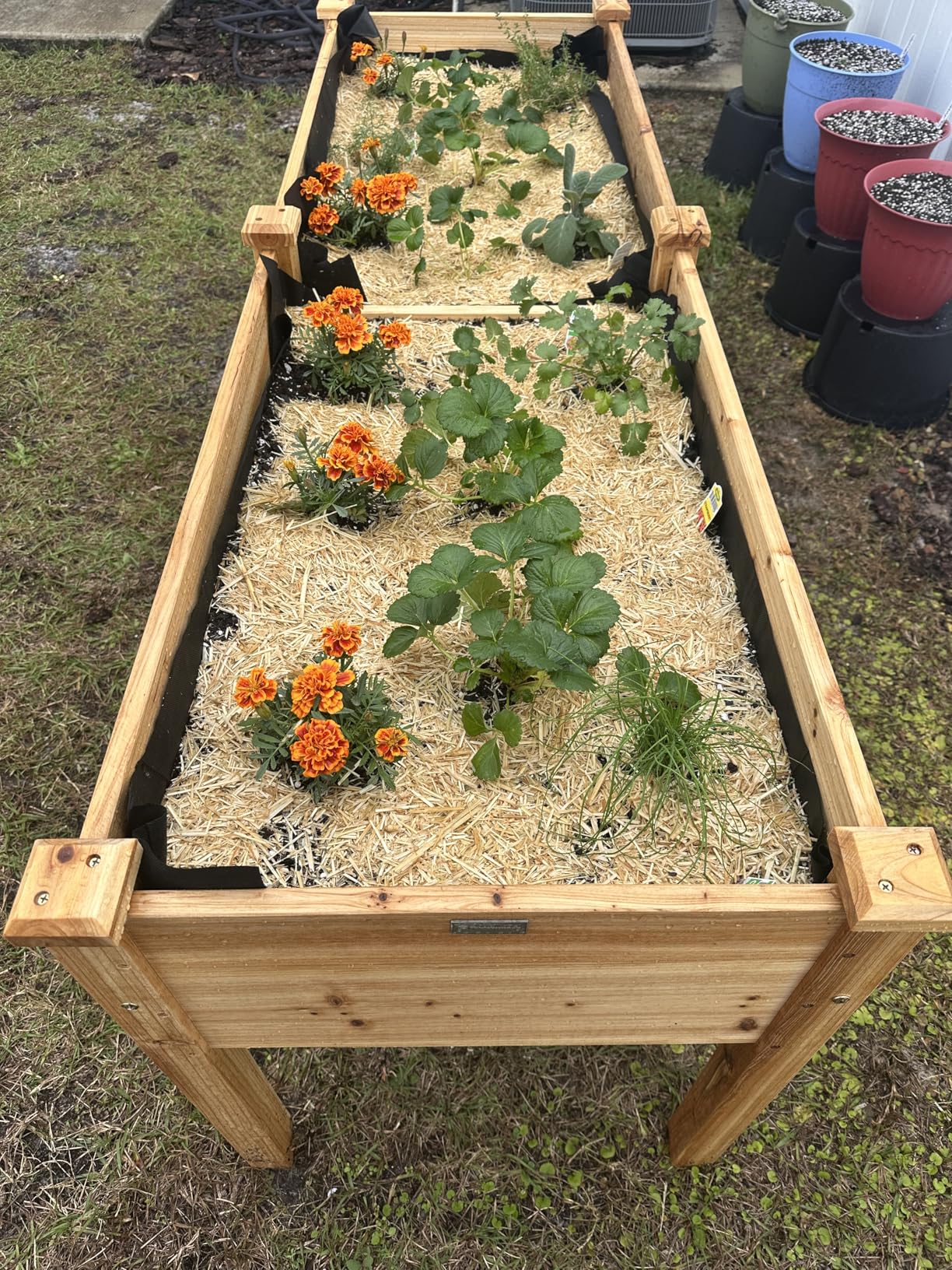 Best Choice Products 48 x 24 x 30 Inches Raised Garden Bed, Elevated Wood Planter Box Stand for Backyard, Patio, Balcony with Bed Liner, 200 Pound Capacity - Natural customer photo 1