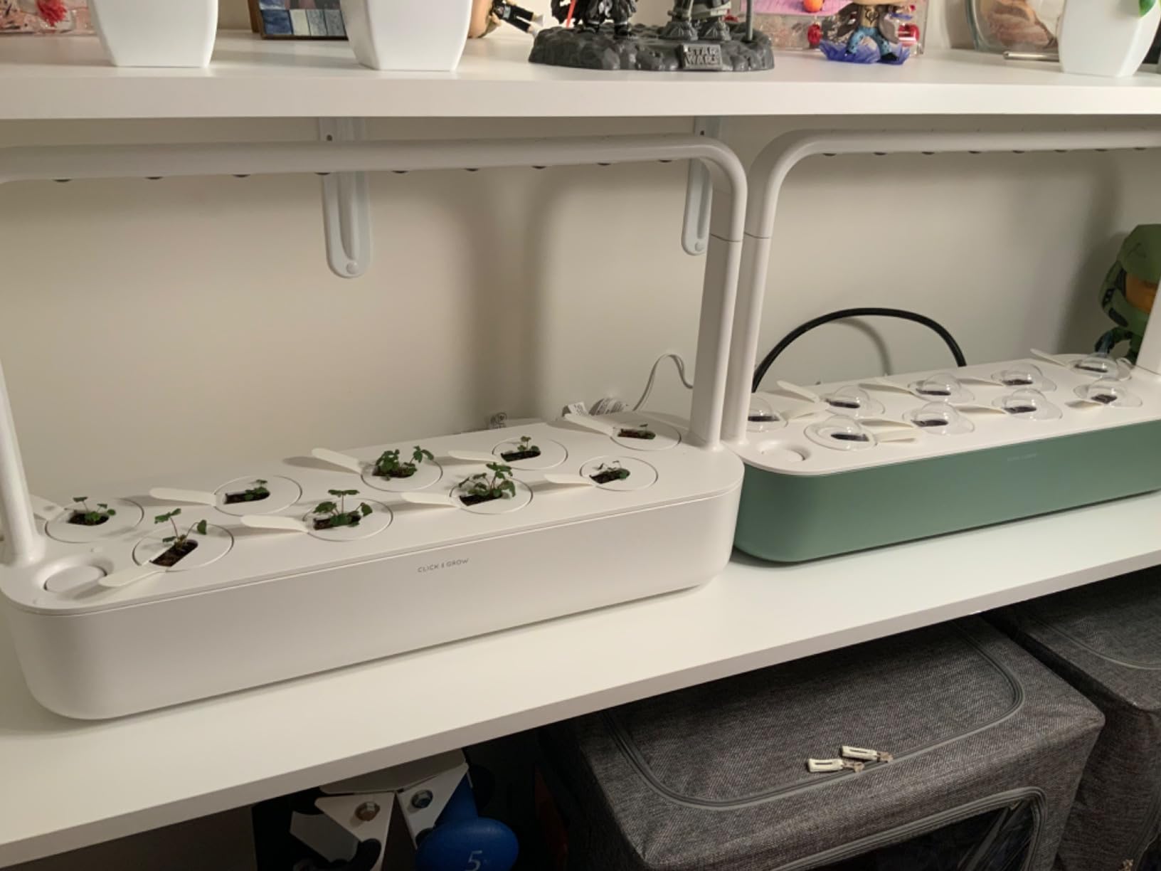 Click & Grow Indoor Herb Garden Kit with Grow Light | Easier Than Hydroponics Growing System | Smart Garden for Home Kitchen Windowsill | Vegetable & Herb Garden Starter Kit with 9 Plant pods, Gray customer photo 1