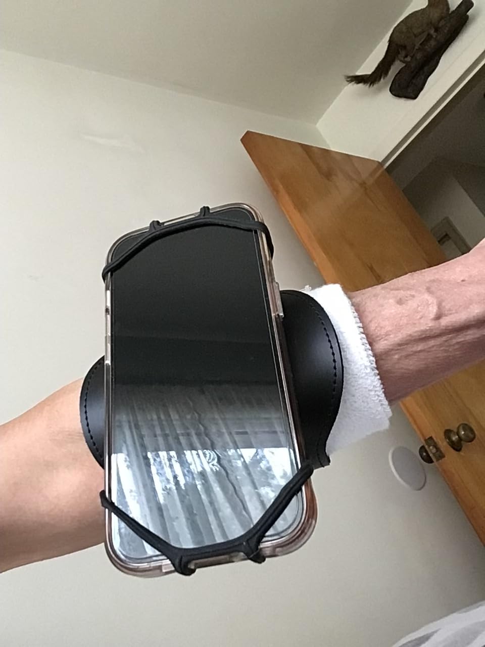 RevereSport Universal iPhone Running Armband (17/16/15/14/13/12/11/10/X/XR/SE/Air/Plus/Max/Pro). Phone Holder Case customer photo 1
