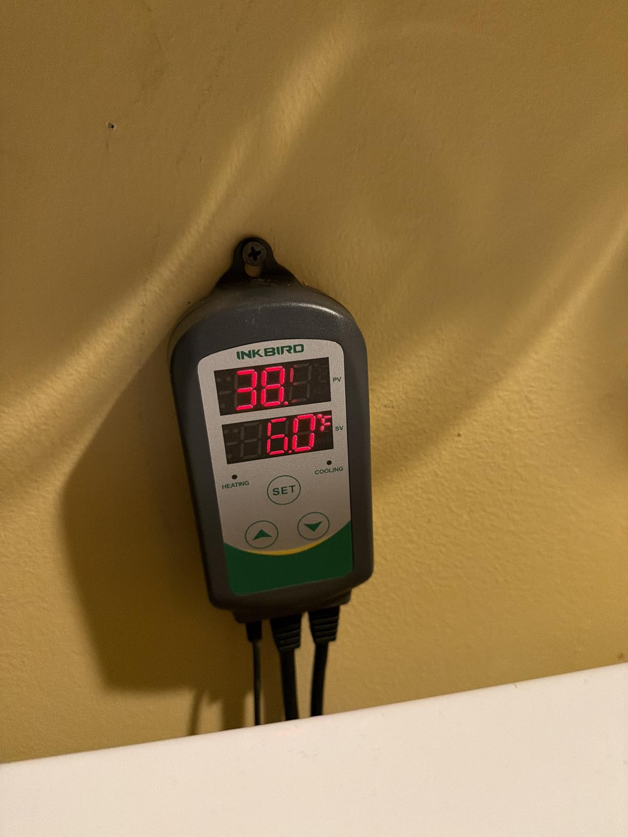 Inkbird WiFi ITC-308 Digital Temperature Controller Thermostat Remote Monitoring Controlling Home Brewing Fermentation Breeding Incubation Greenhouse customer photo 1