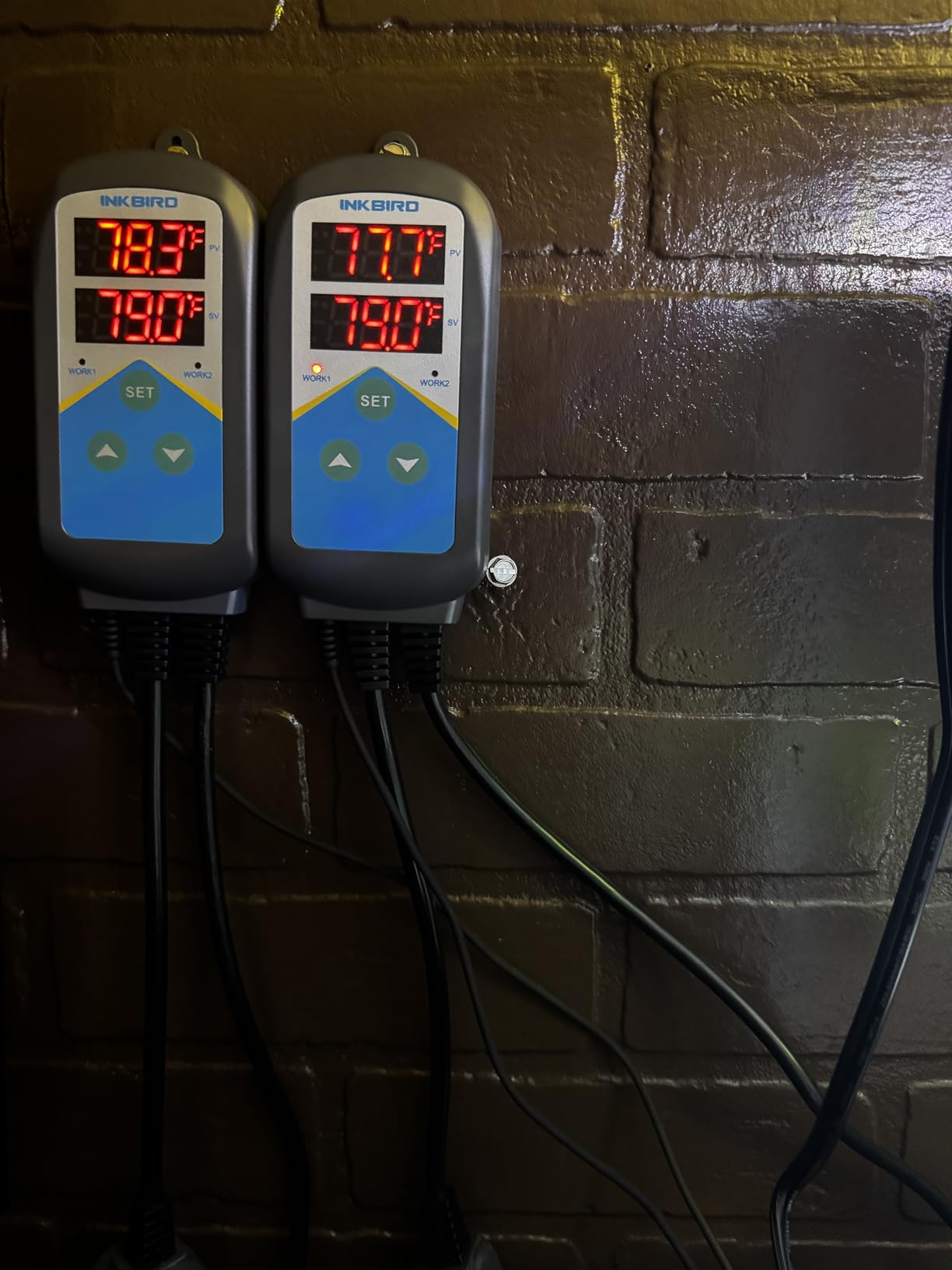 Inkbird Aquarium Heater with Probe Thermostat Fish Ornamental Shrimp Reef Tanks 24 Hours Double Time with Day Night Automatic Temperature Controller customer photo 1