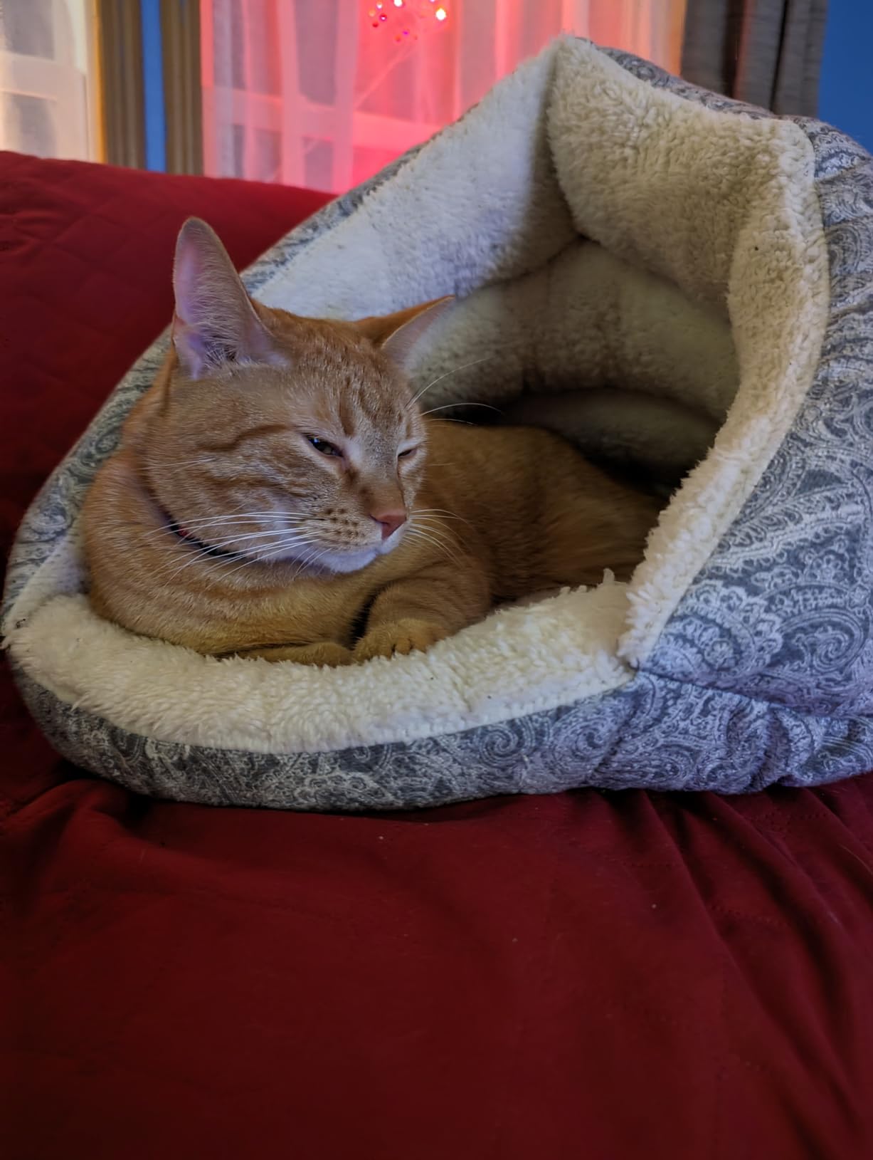K&H Pet Products Self-Warming Hut Cat Cave Bed, Super-Soft Self-Heating Covered Cat Tent Bed, No Electric Needed to Keep Pets Warm, Also for Small Dogs, Machine Washable - Small 19 X 18in Gray customer photo 1