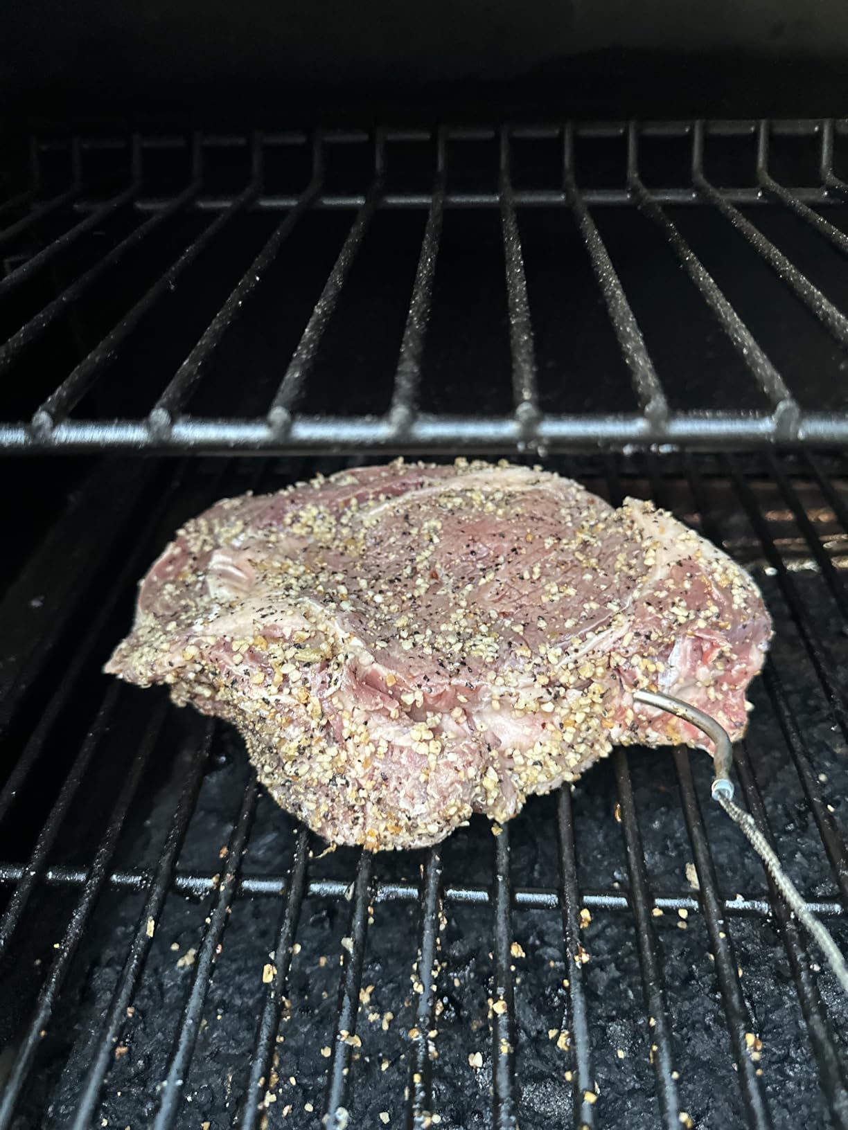 Traeger Grills Pro 575 Wood Pellet Grill & Smoker with Wifi, App-Enabled, Bronze customer photo 1