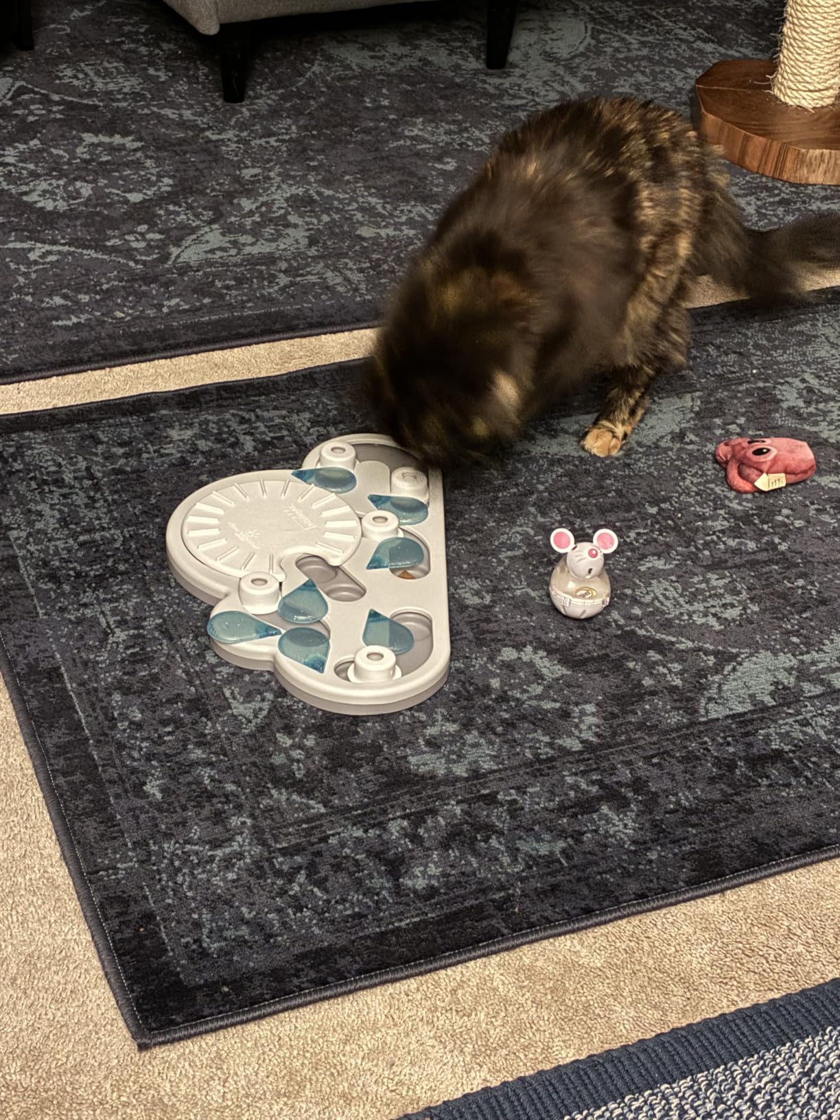Catstages Nina Ottosson Buggin' Out Puzzle & Play - Interactive Cat Puzzle Feeder for Indoor Cats, 16 Hidden Treat Compartments, Slow Feeder customer photo 1