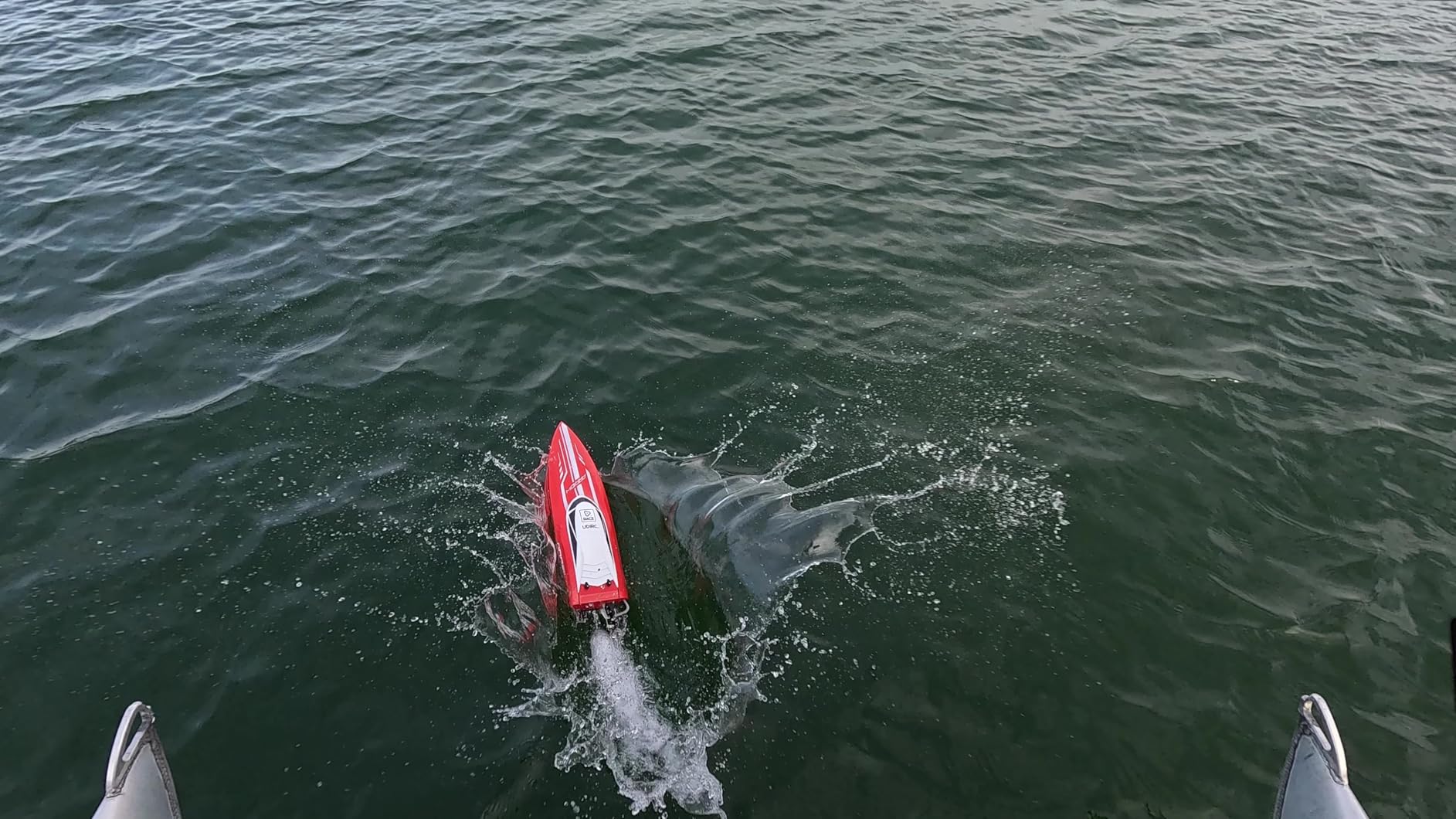 Cheerwing 25