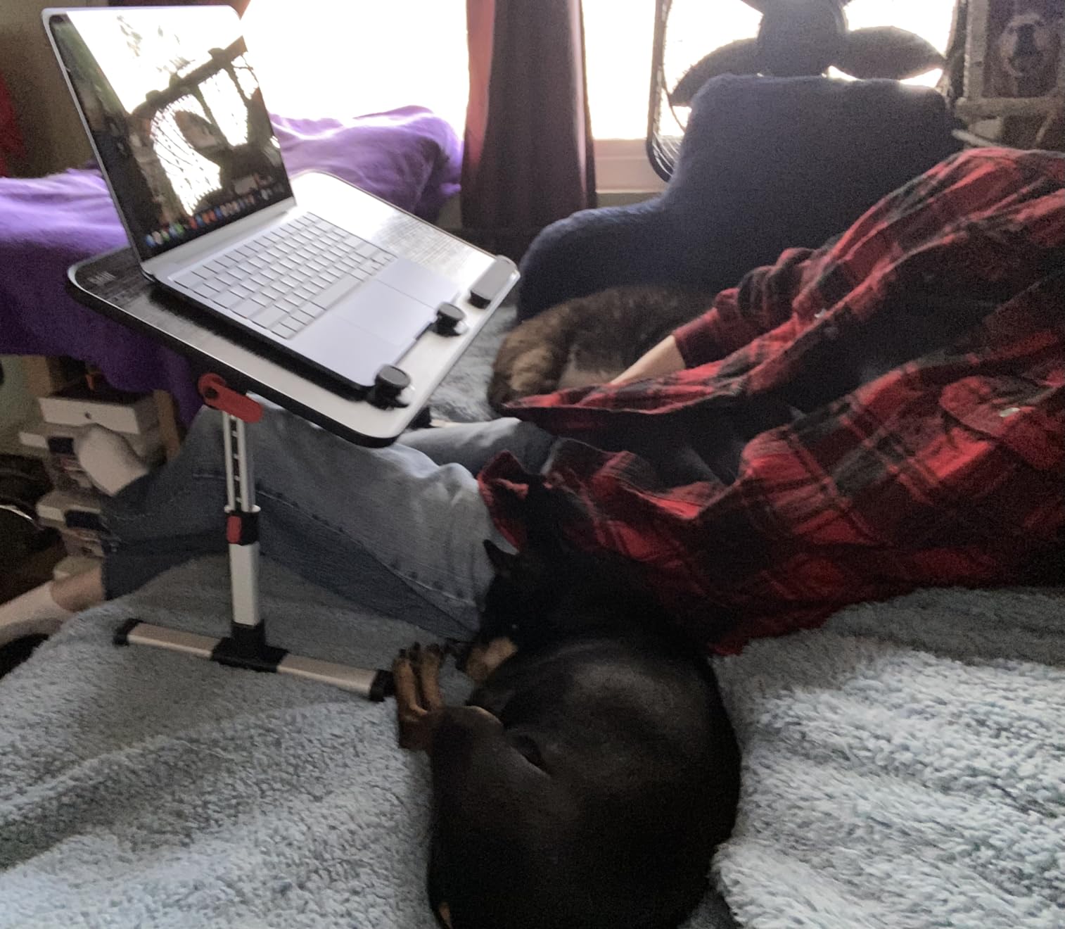 SAIJI Laptop Bed Tray Table, Adjustable Home Office Standing Desk Portable Lightweight Foldable Lap Desk for Sofa Couch Floor Working Studying Reading Writing Eating,Fit Up to 17