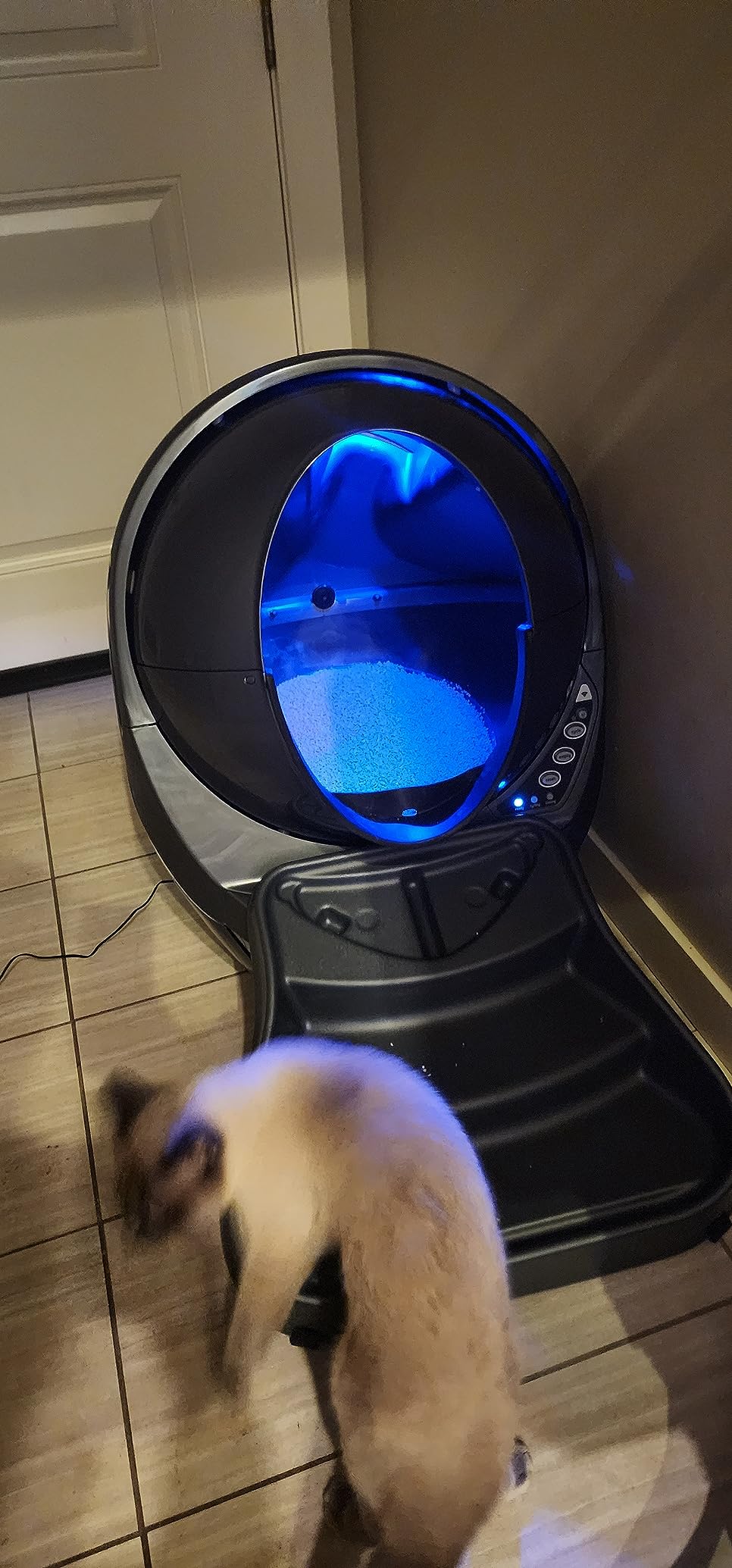Litter-Robot 3 Connect by Whisker, Grey - Automatic, Self-Cleaning Cat Litter Box, App Control, Helps Reduce Litter Box Odors, Works with Any Clumping Litter, WhiskerCare 1-Year Warranty customer photo 2
