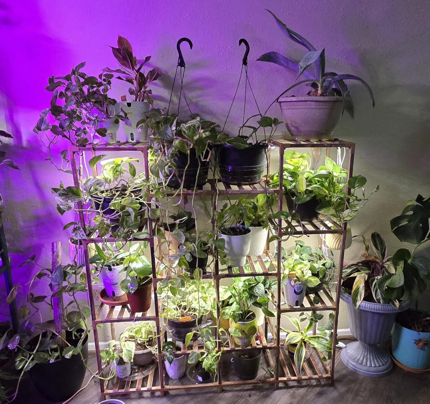LED Plant Growing lamp, 3500K Full Spectrum Grow Light Strips for Indoor Plants with 3/9/12H Timer & 10 Dimmable Levels, Led Growth Light for Green House Hydroponics Succulent 13In 4Head customer photo 2