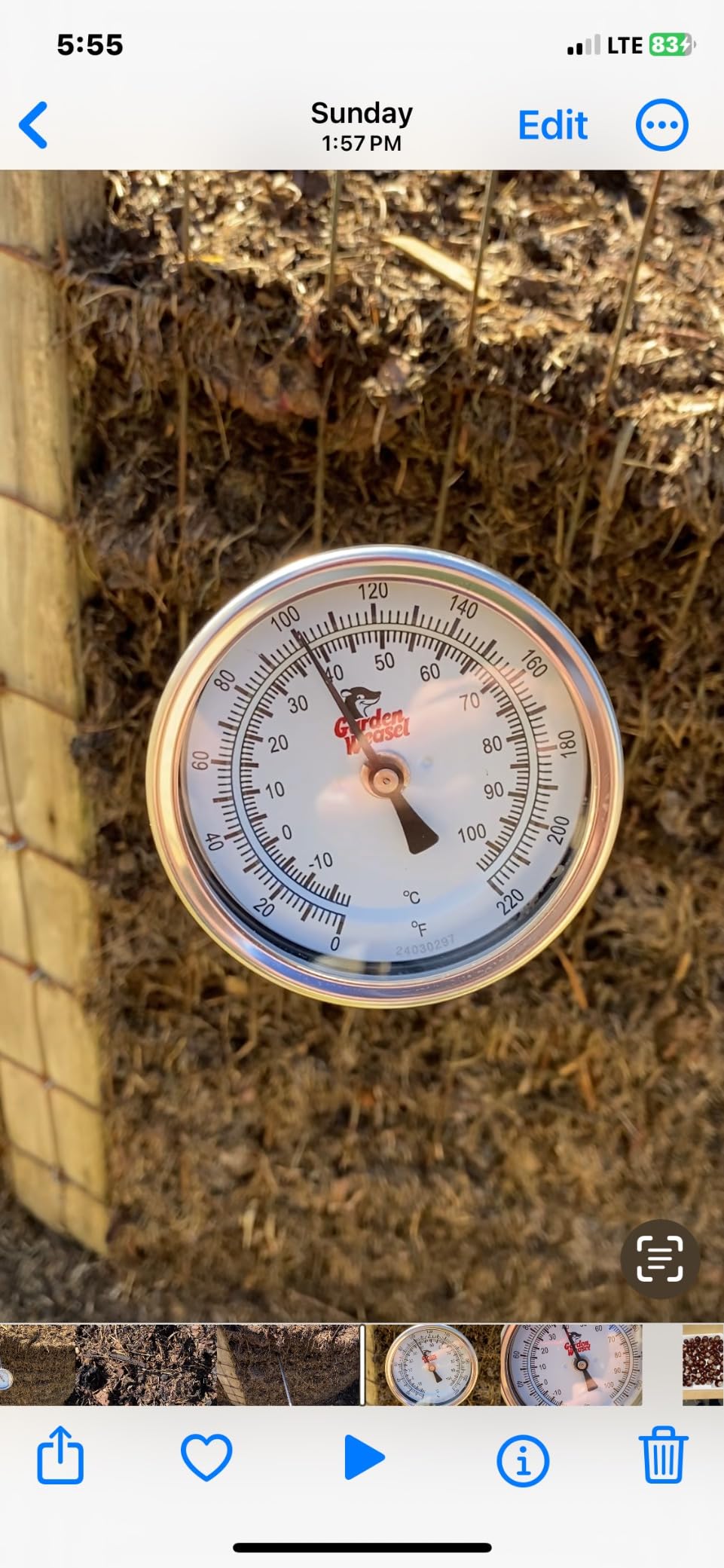 Garden Weasel Analog Soil & Composting Dial Thermometer - 36-Inch Probe | Measures 0 to 220 Degrees Fahrenheit | Soil Temperature, Worm Compost | 98001-A customer photo 1