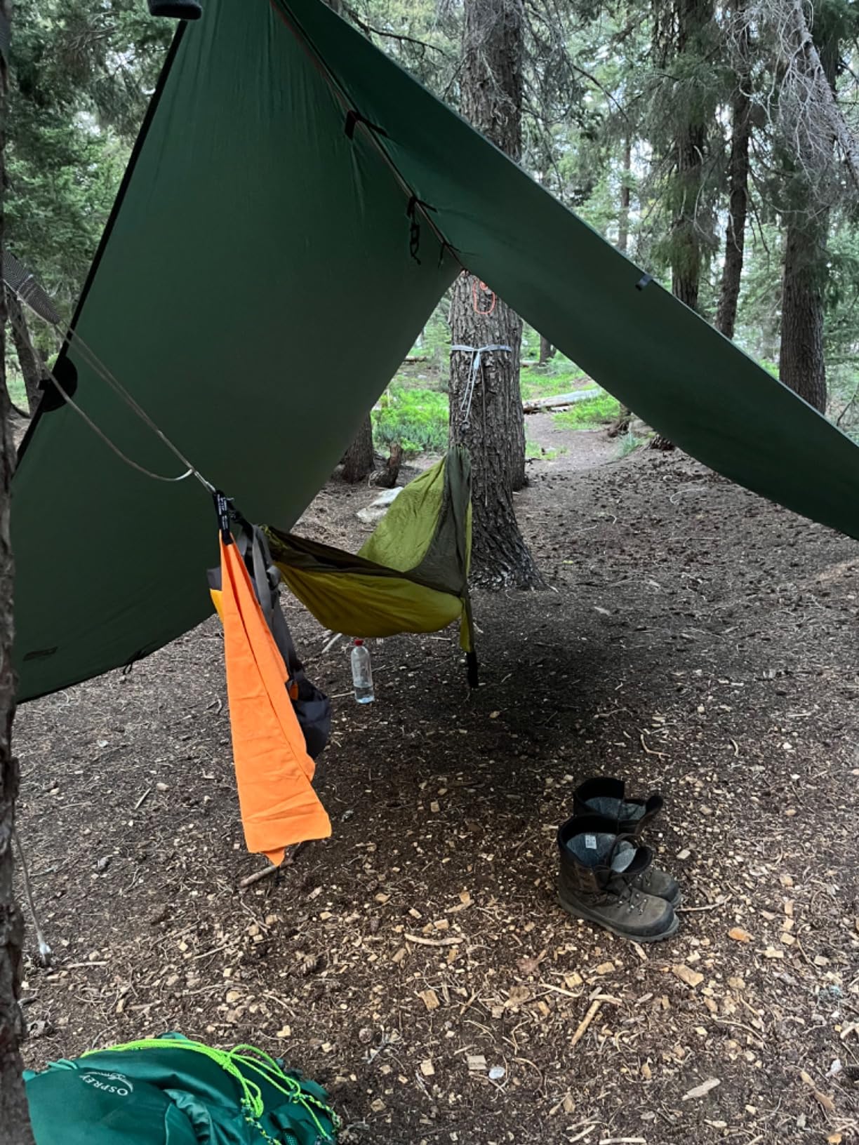 ENO, Eagles Nest Outfitters SingleNest Lightweight Camping Hammock customer photo 1