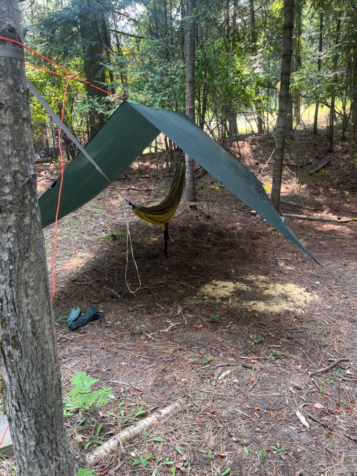 ENO, Eagles Nest Outfitters SingleNest Lightweight Camping Hammock customer photo 2
