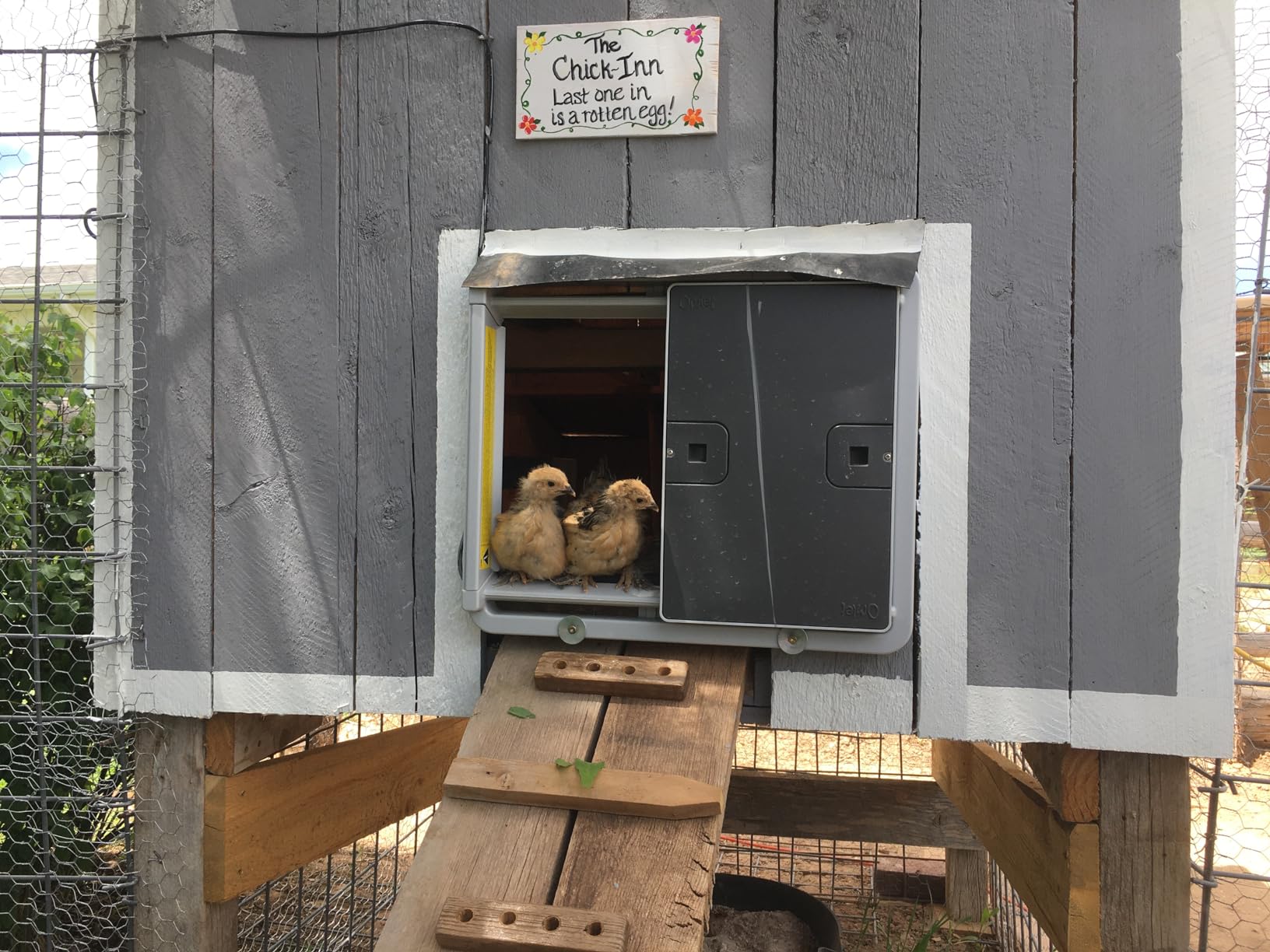 Omlet Automatic Chicken Coop Door Opener | Operated by Light Sensor or Timer | Easy to Install, No Maintenance Required | Improves Coop Security and Insulation | Built-in Safety Sensors | Grey customer photo 2