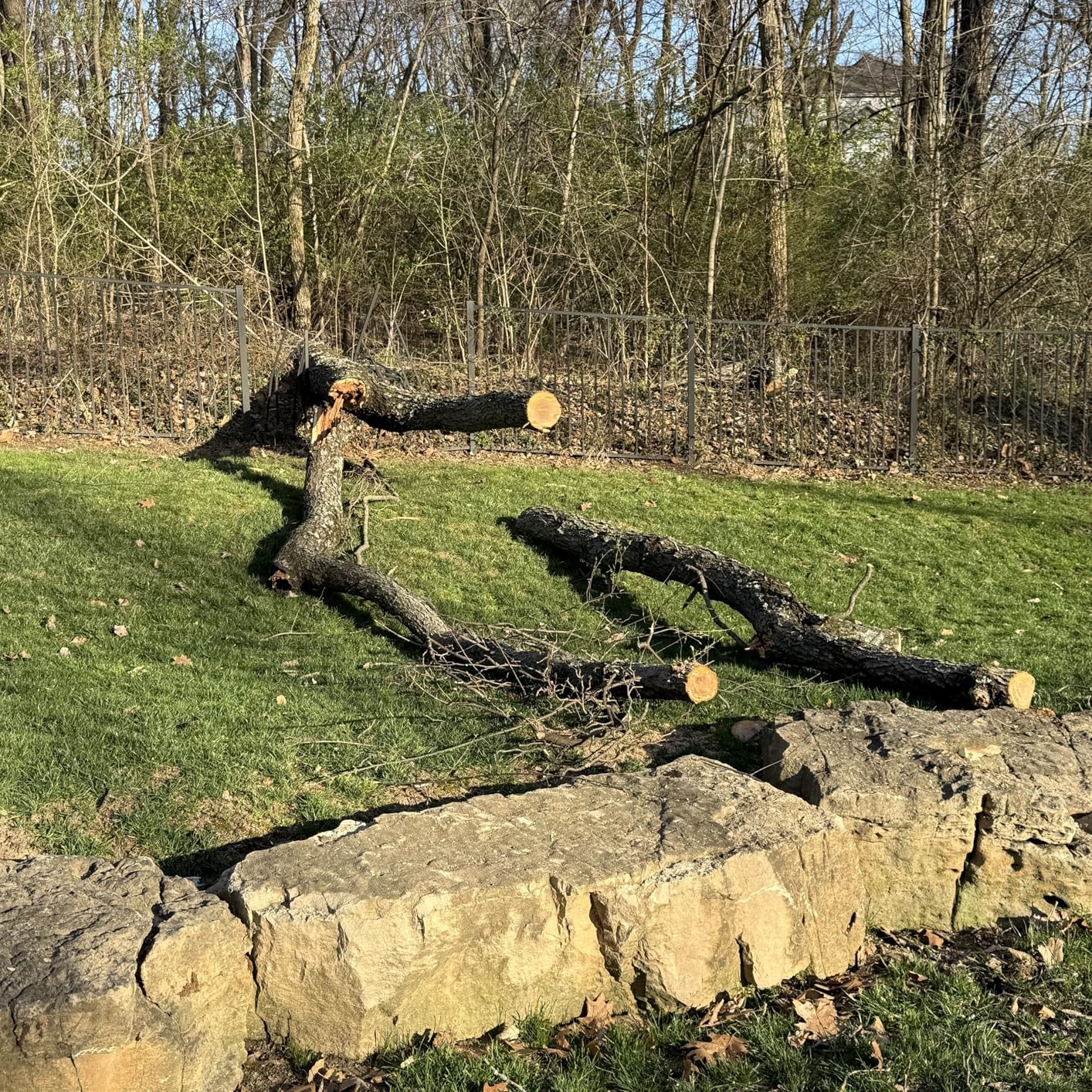 EGO POWER+ Chain Saw, 16 Battery Powered Chainsaw, Electric Cordless, Includes 56V 4.0Ah Battery and Charger - CS1613 customer photo 1