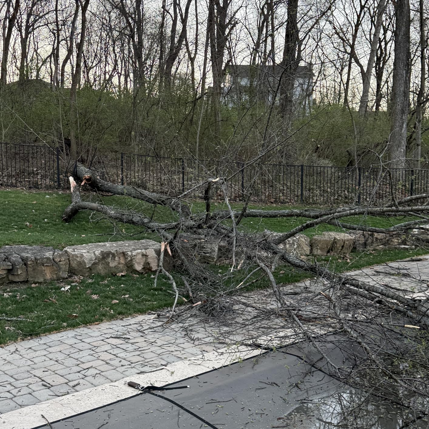 EGO POWER+ Chain Saw, 16 Battery Powered Chainsaw, Electric Cordless, Includes 56V 4.0Ah Battery and Charger - CS1613 customer photo 2