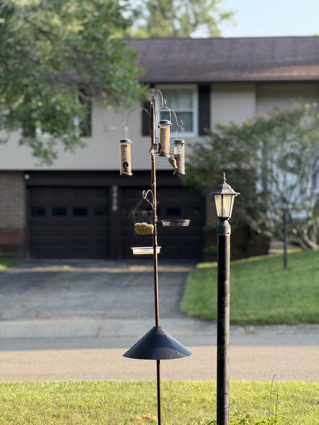 6-Hook Bird Feeding Station, Steel Multi-Feeder Kit Stand for Attracting Wild Birds w/ 4 Bird Feeders, Bird Bath, Mesh Tray and Squirrel Guard Baffle, 94 Inch customer photo 1