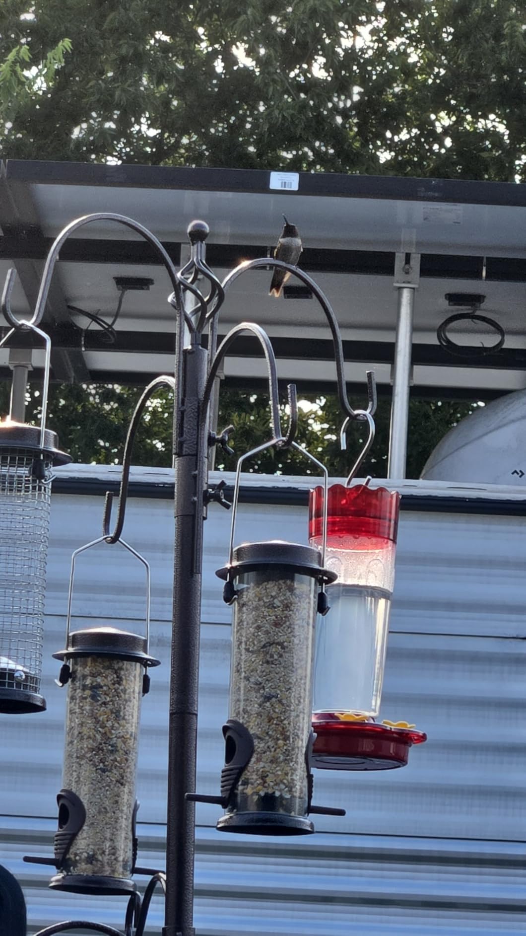 6-Hook Bird Feeding Station, Steel Multi-Feeder Kit Stand for Attracting Wild Birds w/ 4 Bird Feeders, Bird Bath, Mesh Tray and Squirrel Guard Baffle, 94 Inch customer photo 2
