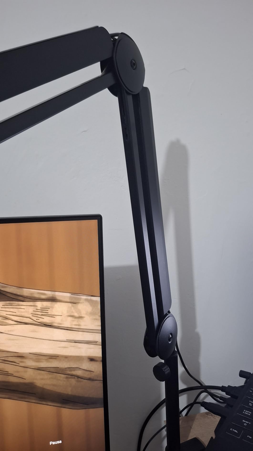InnoGear Mic Boom Arm Microphone Stand Cable Management customer photo 1