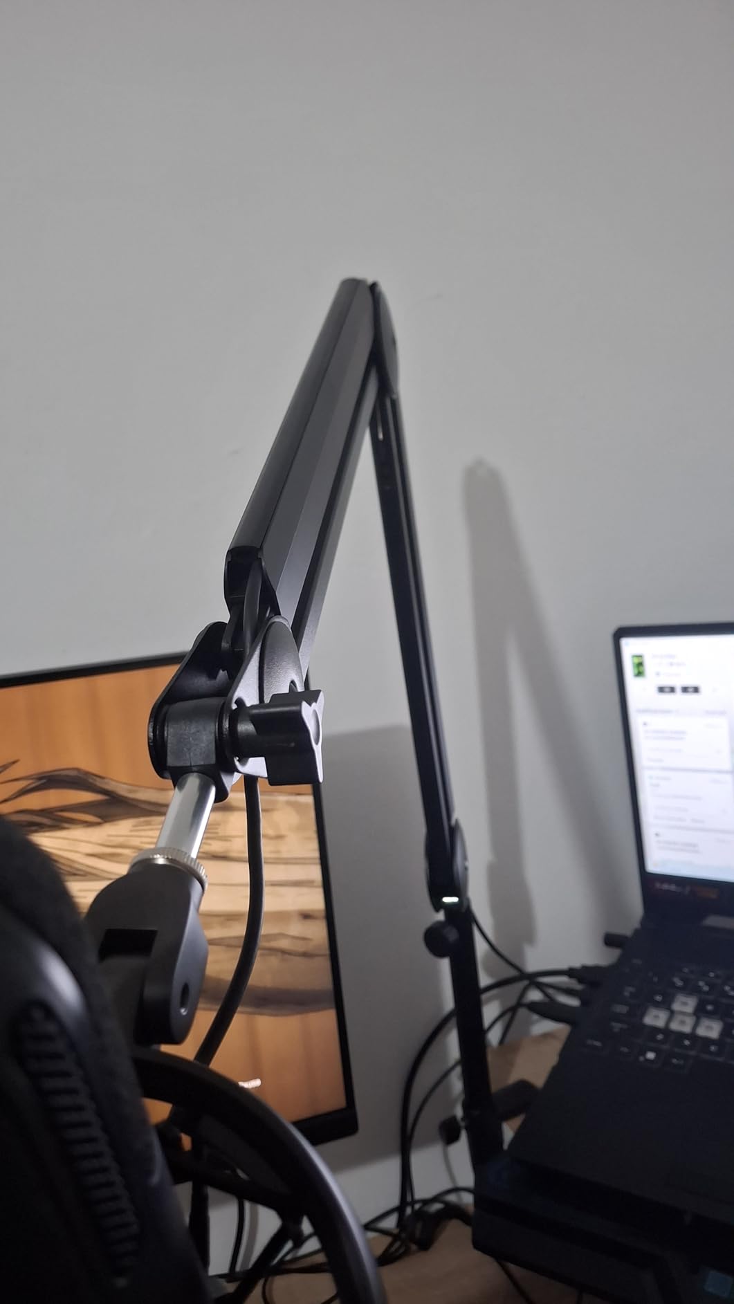 InnoGear Mic Boom Arm Microphone Stand Cable Management customer photo 2