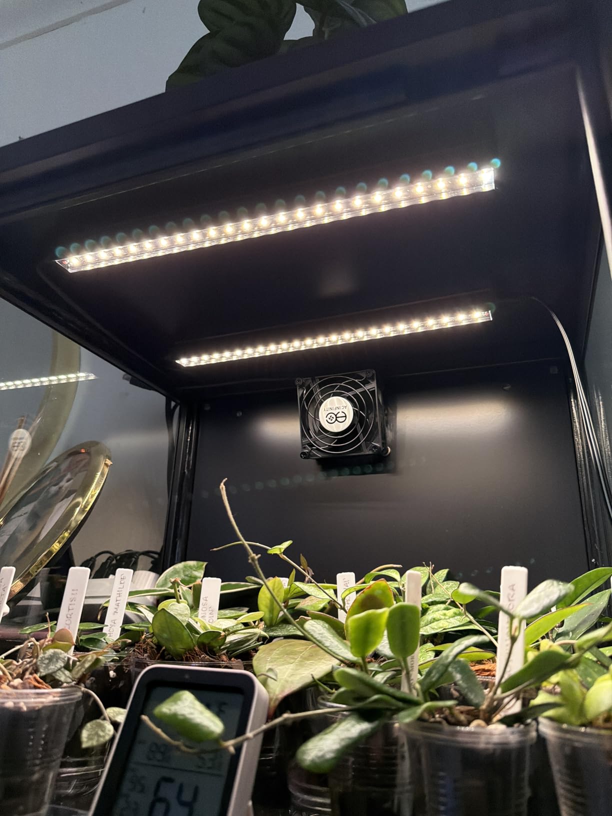 Barrina T5 Grow Lights for Indoor Plants, 5000K Full Spectrum, 1FT LED Growing Lamp, Plant Light Strip, for Seed Starting, Vegetables, Plug and Play, 4-Pack customer photo 2