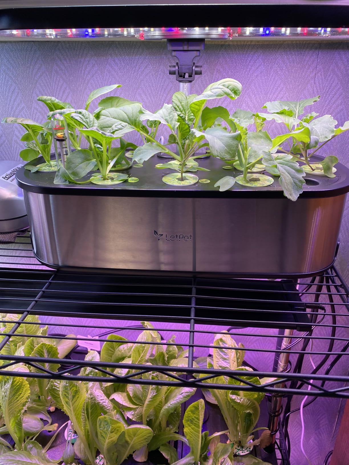 LetPot LPH-SE Hydroponics Growing System, 12 Pods Smart Herb Garden Kit Indoor, Indoor Garden, APP & WiFi Controlled, with 24W Growing LED, 5.5L Water Tank, Pump System, Automatic Timer customer photo 2