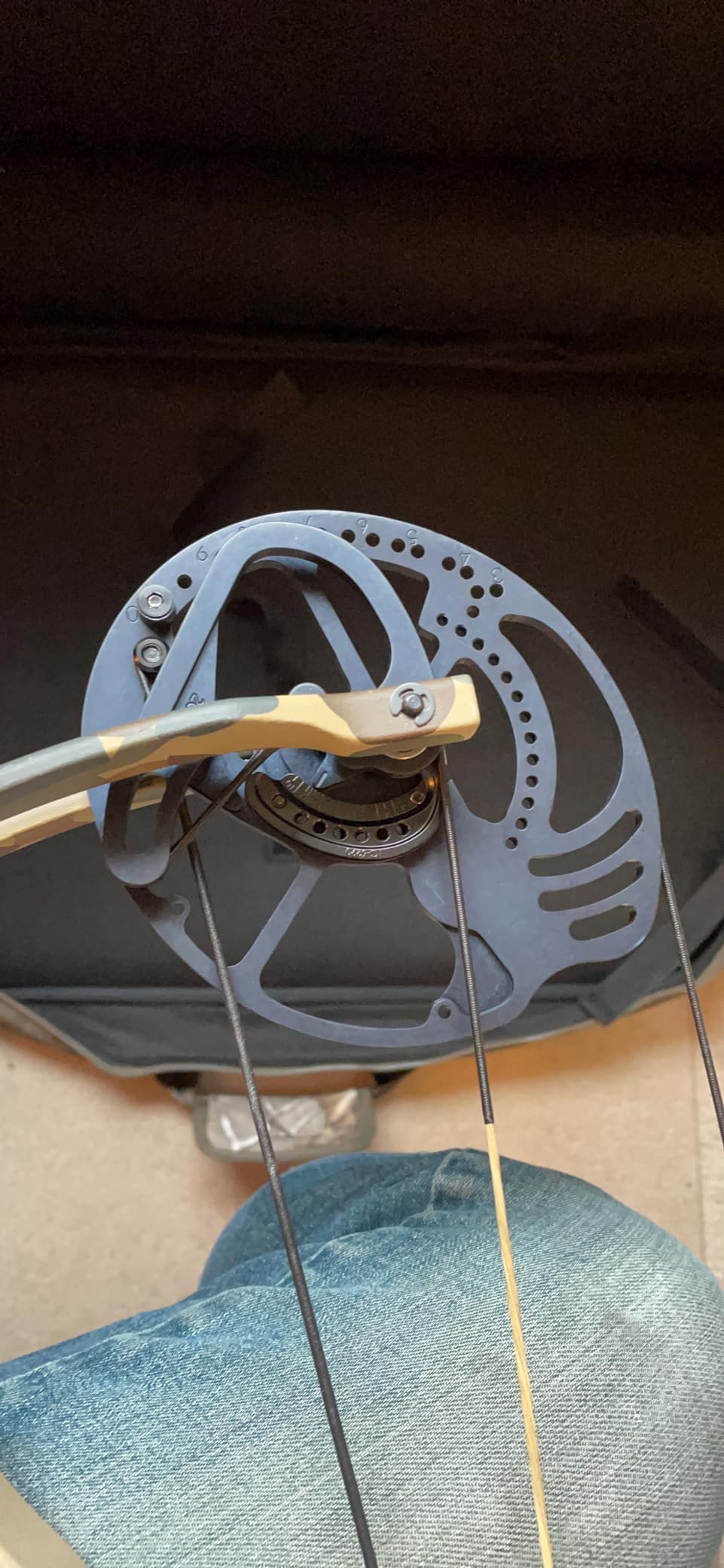 Bear Adapt RTH Compound Bow customer photo 2