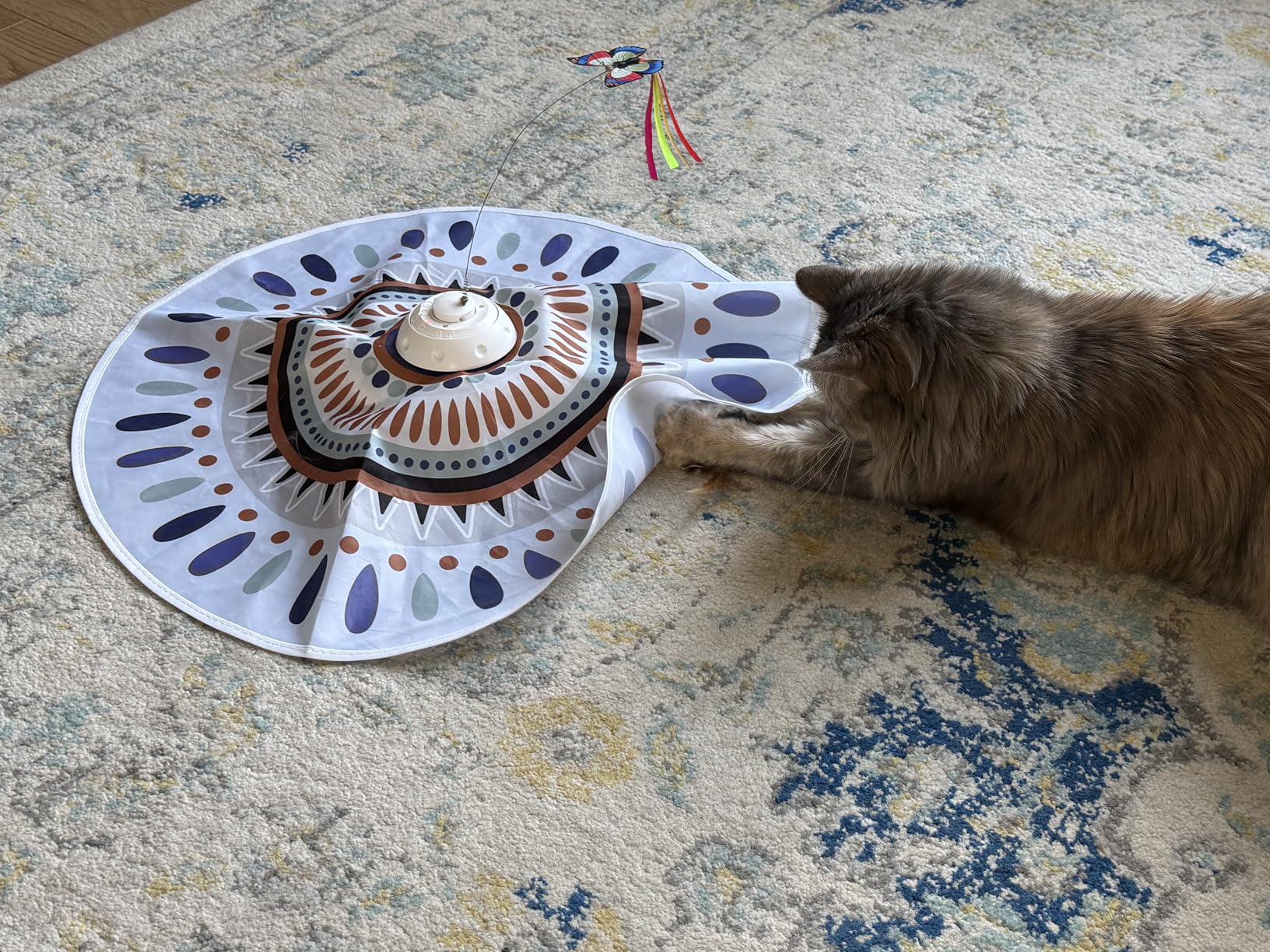 Potaroma Cat Toys Chargeable, 3in1 Hide and Seek, Automatic Interactive Fun, Fluttering Butterfly, Moving Feather, Kitten Wand, Indoor Kitty Exercise Kicker 22.8 Inch Cover customer photo 2