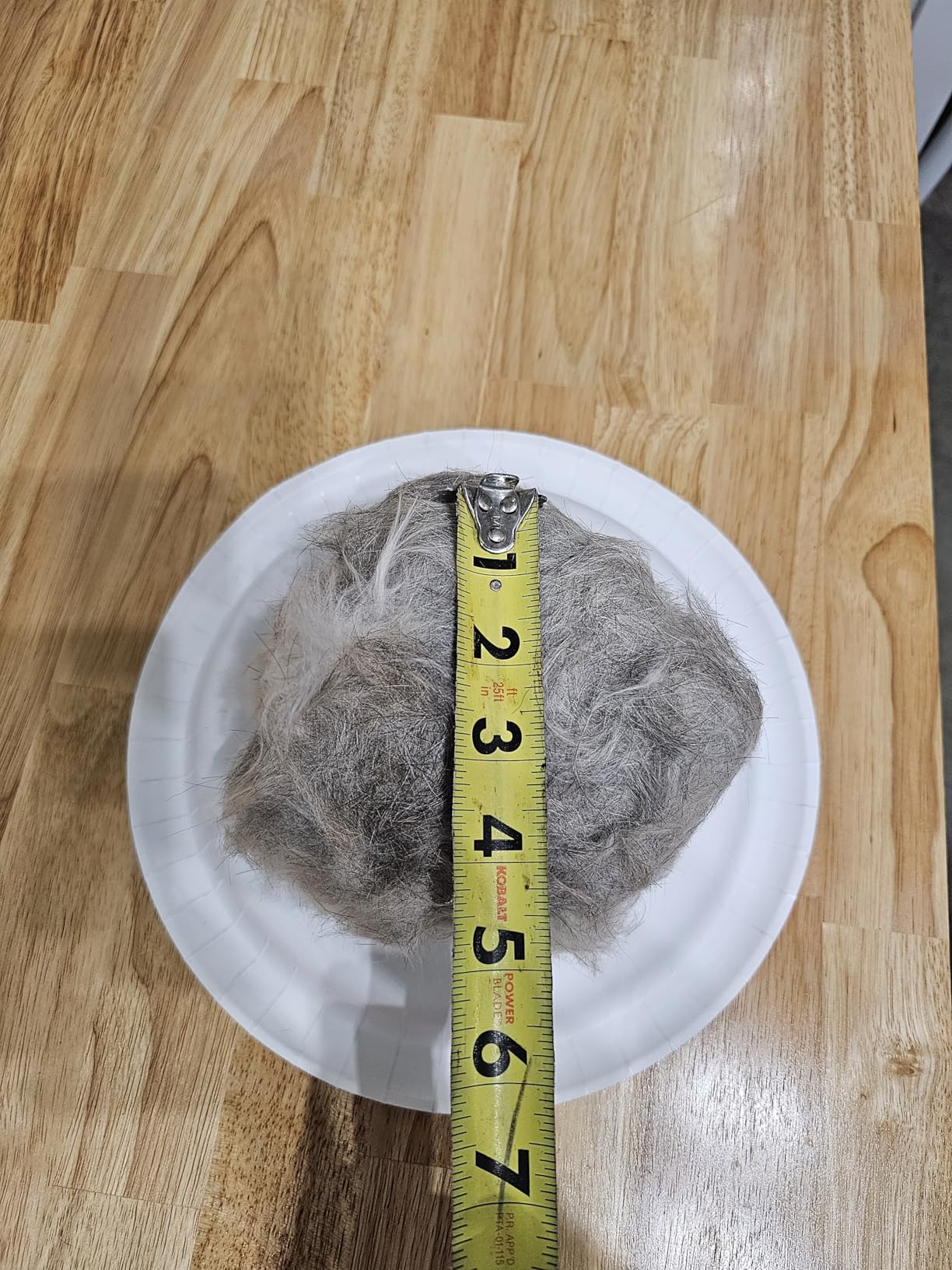 AIRROBO Dog Grooming Vacuum Kit,12000Pa Strong Pet Vacuum for Shedding,Grooming Hai,Quiet,PG100,2L Large Capacity customer photo 2